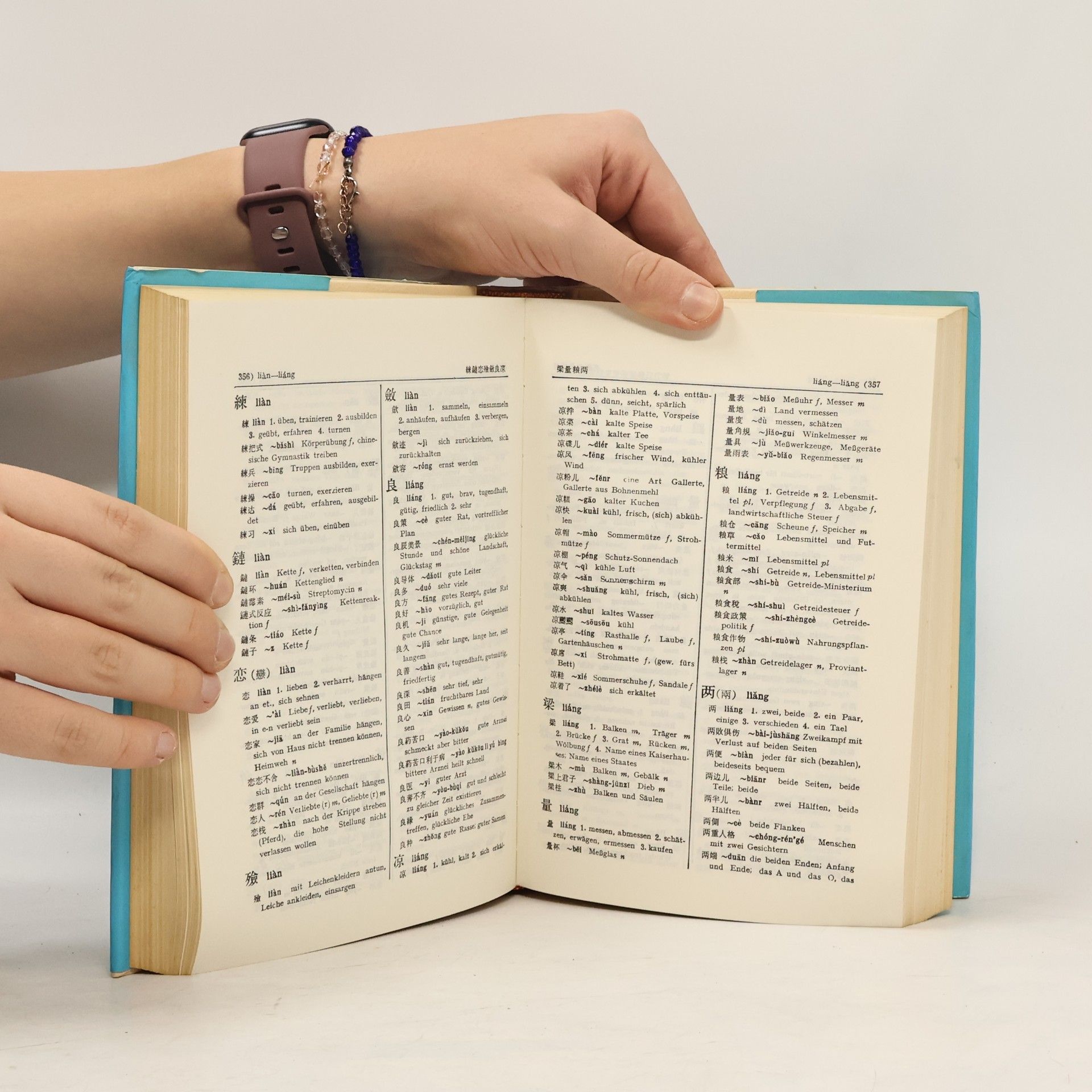 German Department of Beijing Foreign Studies University Chinesisch-Deutsches Wörterbuch / 漢德詞典