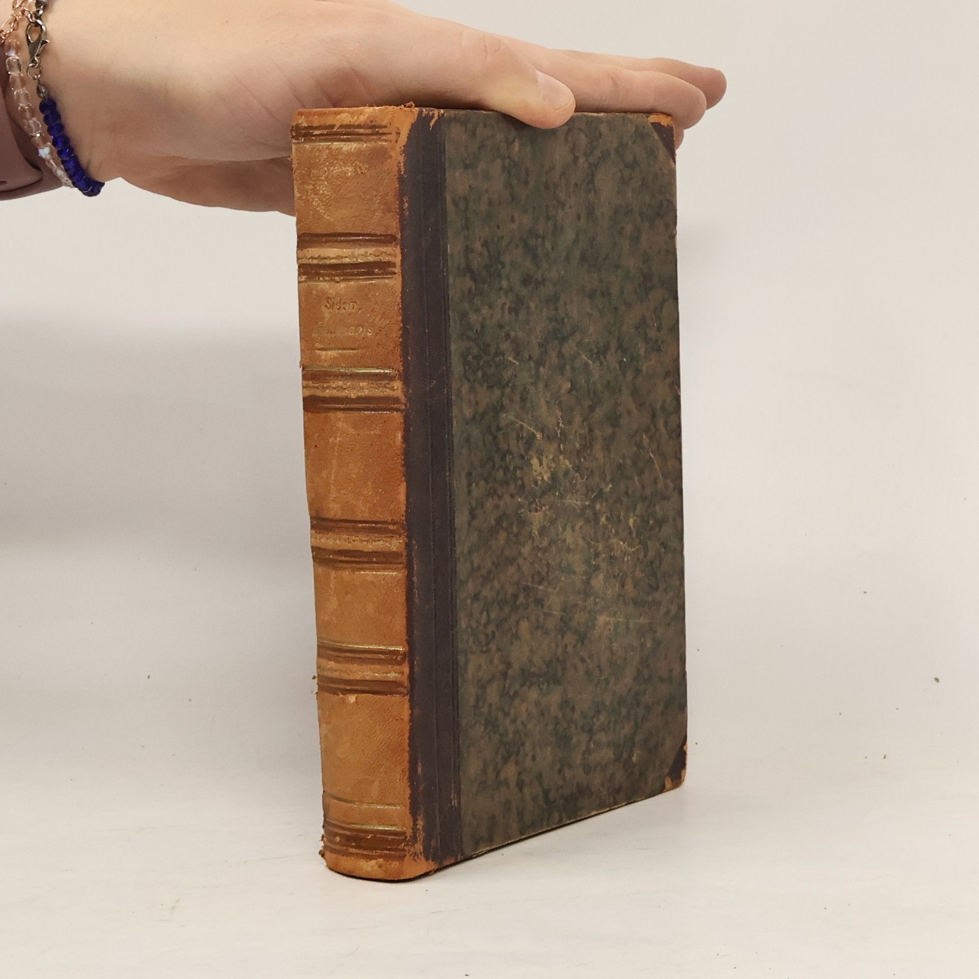 Paulus Mohr C. Sollius Apollinaris Sidonius