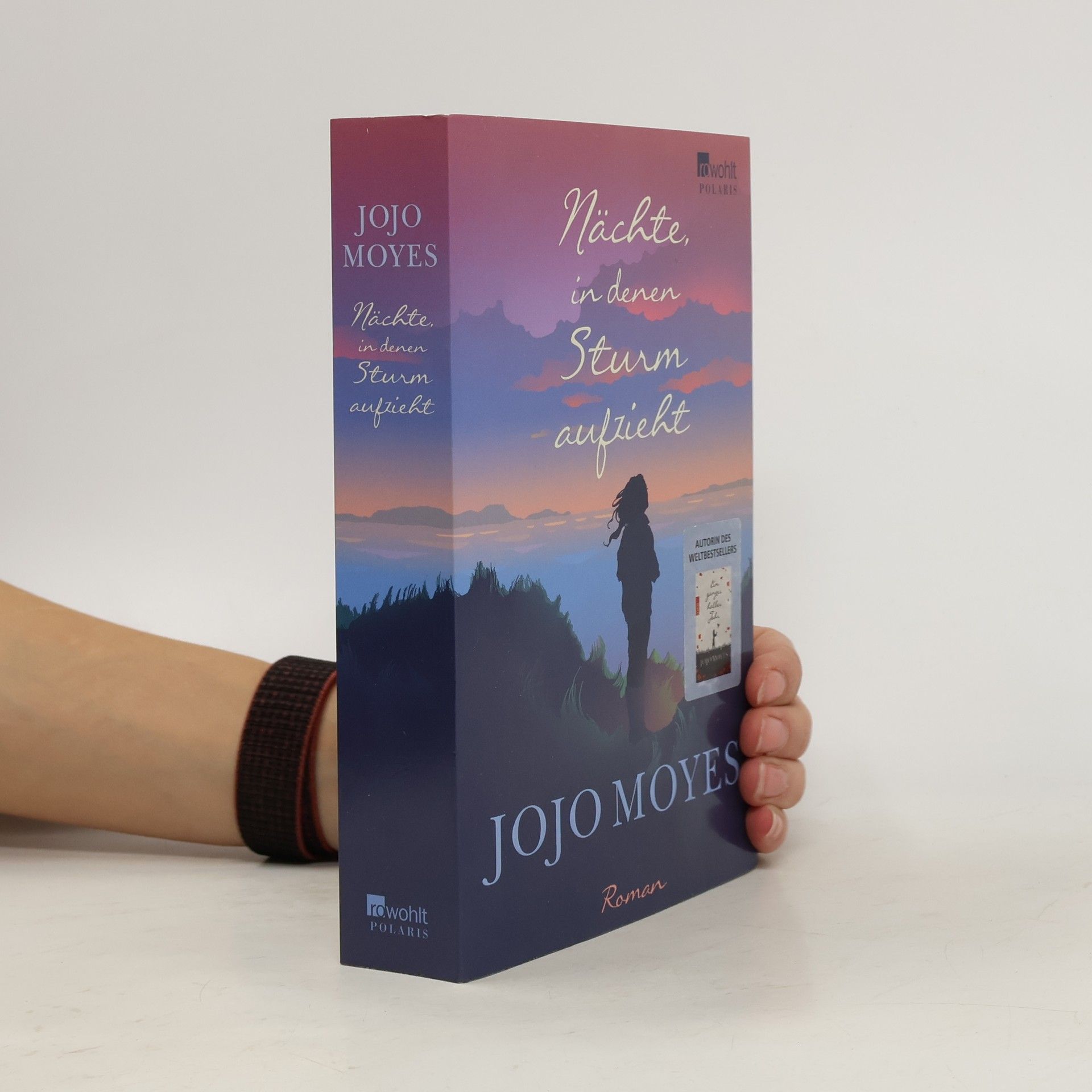 Jojo Moyes Nächte in denen Sturm aufzieht