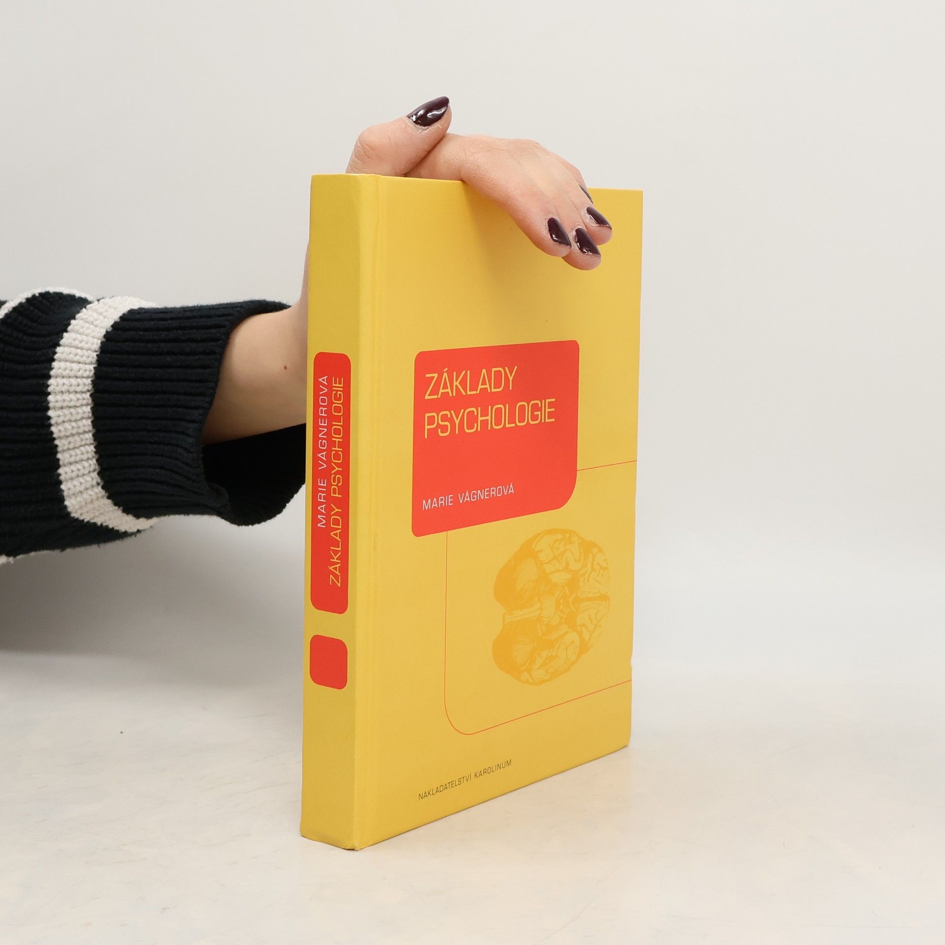 Marie Vágnerová Základy psychologie