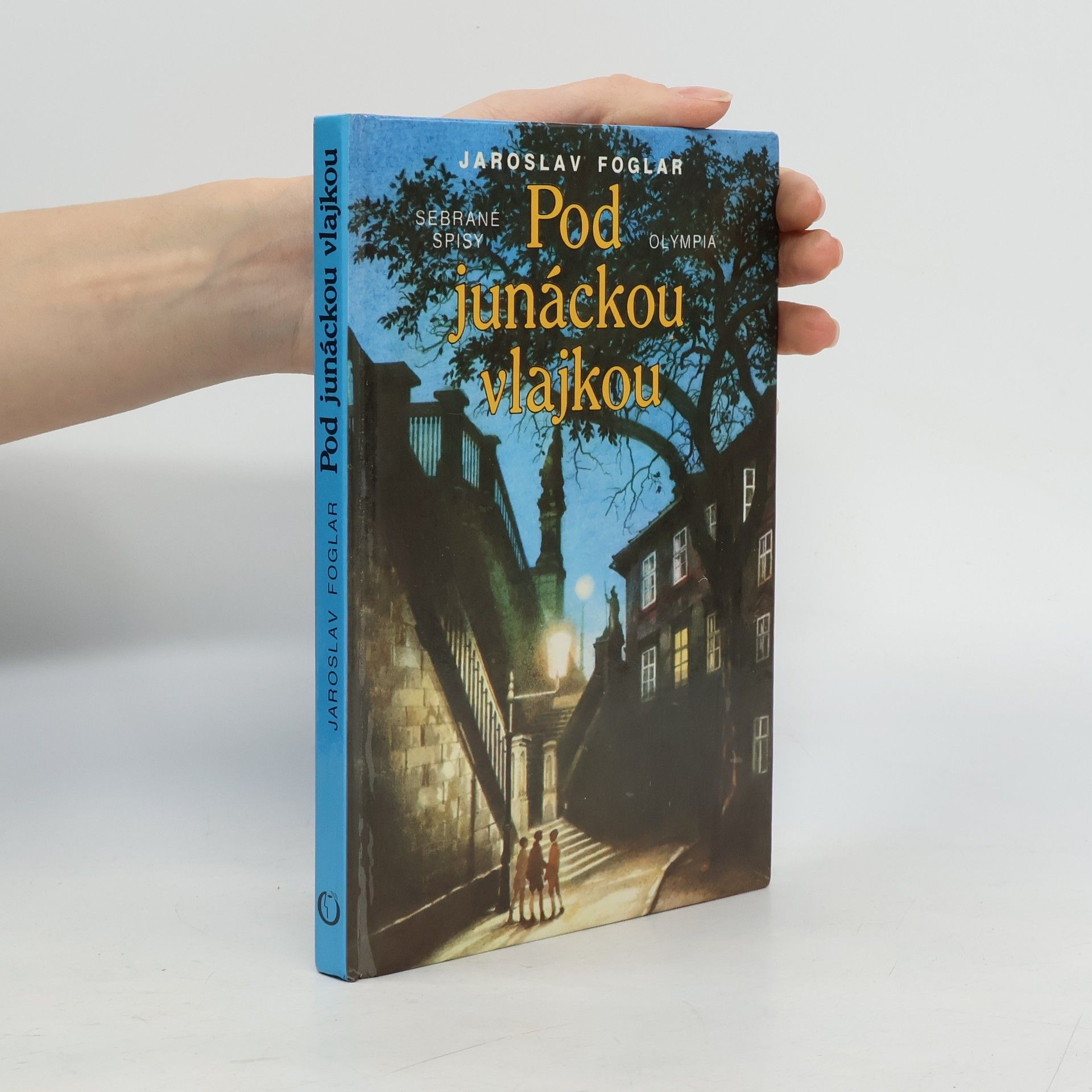 Pod junáckou vlajkou