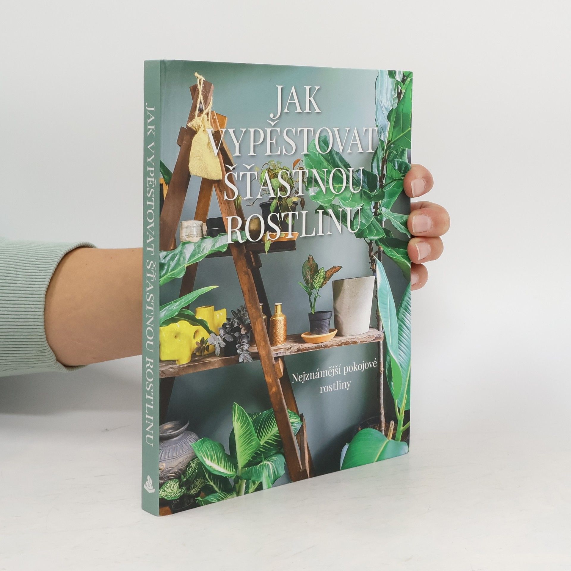 Jak vypěstovat šťastnou rostlinu