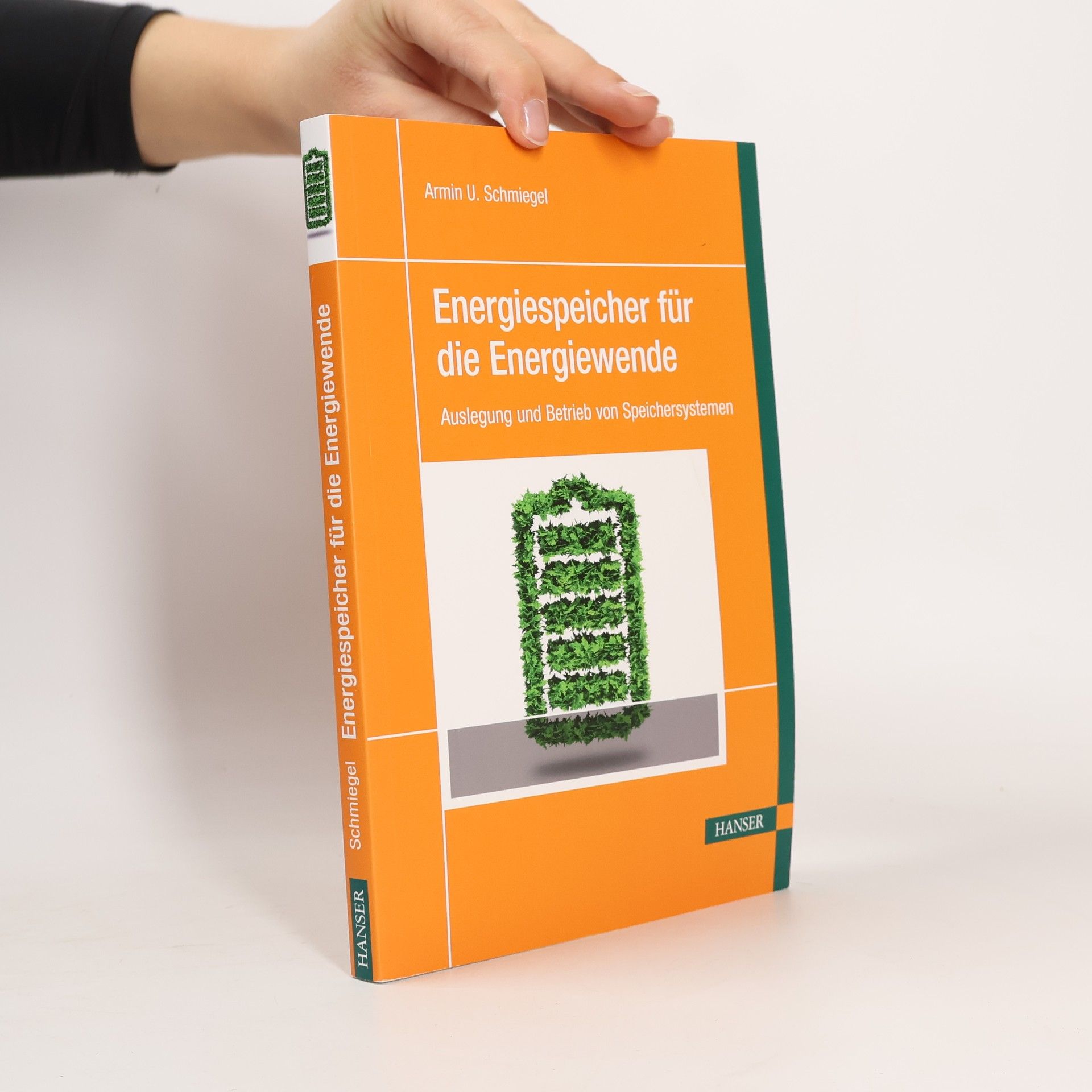 Armin U. Schmiegel Energiespeicher für die Energiewende
