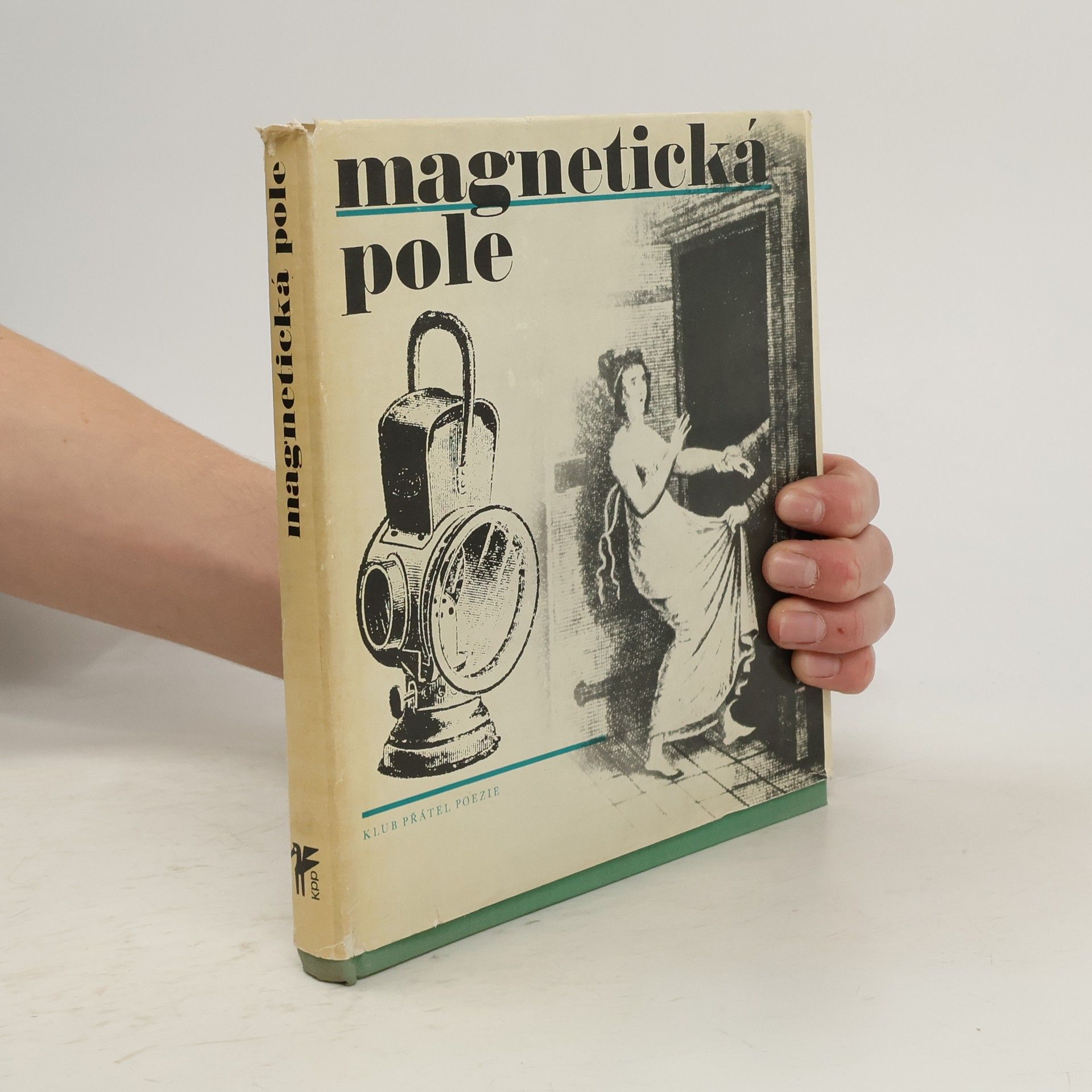 Kolektiv autorů Magnetická pole