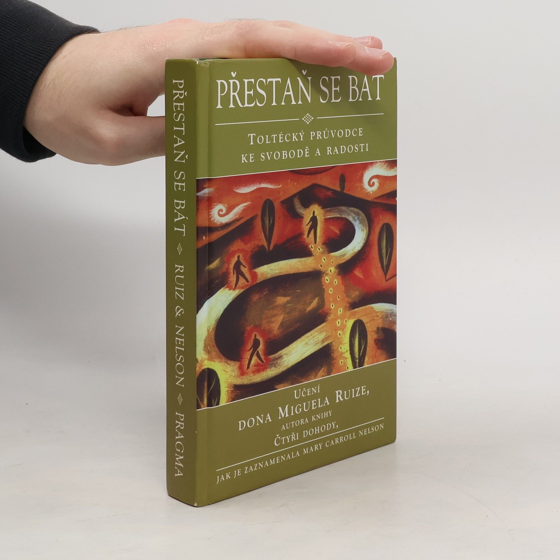 Mary Carroll Nelson Přestaň se bát