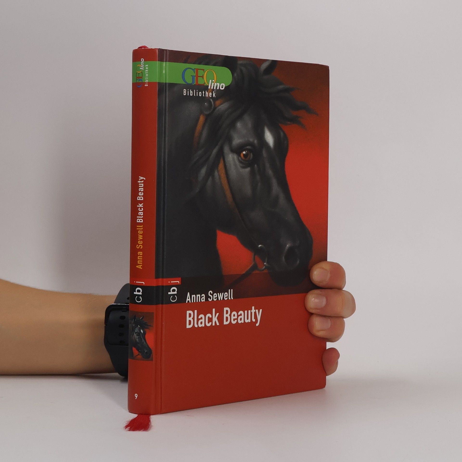 Anna Sewell Black Beauty : die Geschichte eines Hengstes