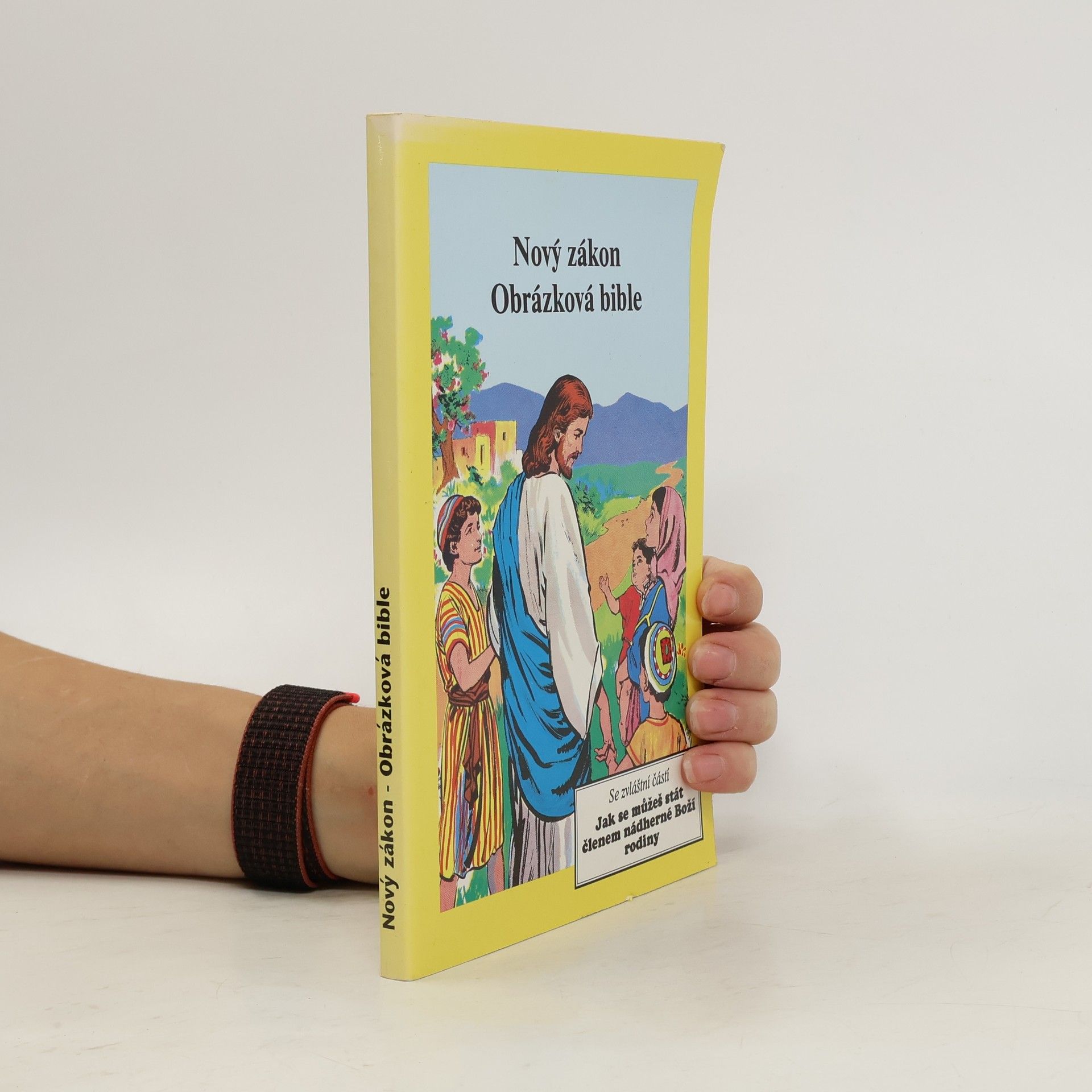 David Cook Nový zákon. Obrázková bible