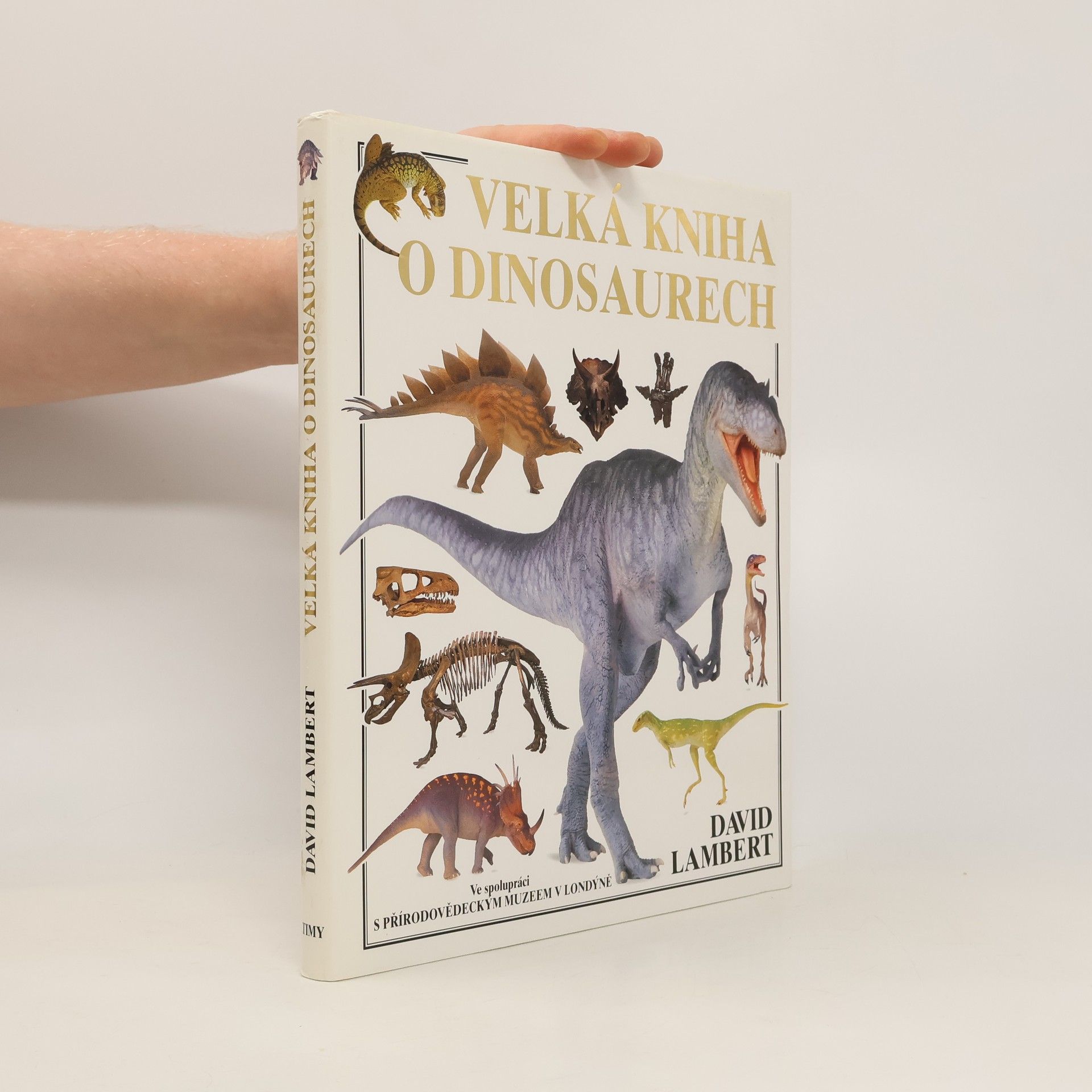 David Lambert Velká kniha o dinosaurech