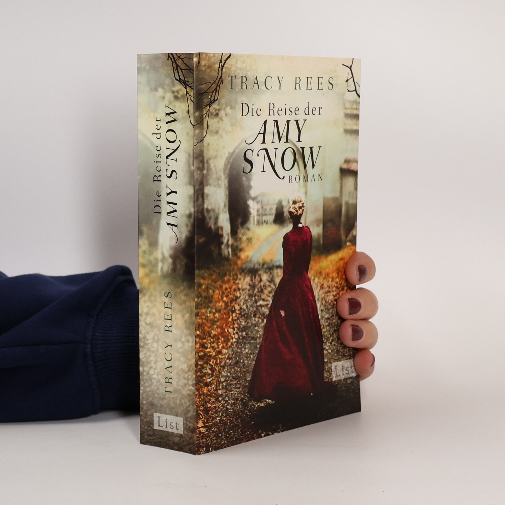 Tracy Rees Die Reise der Amy Snow