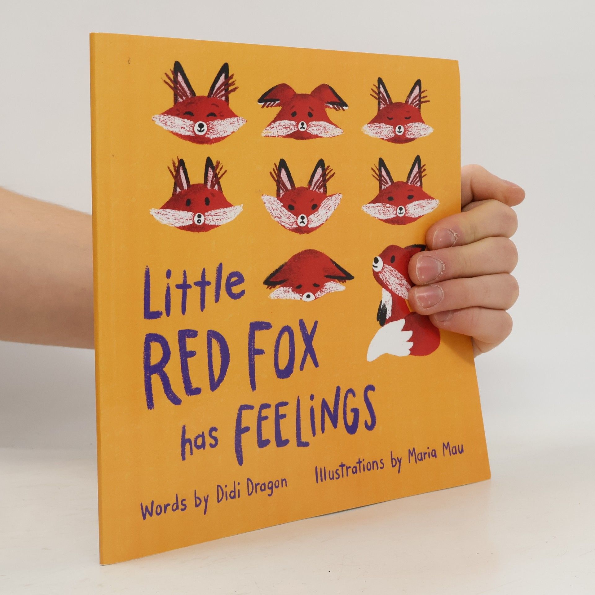 Didi Dragon Little Red Fox Has Feelings