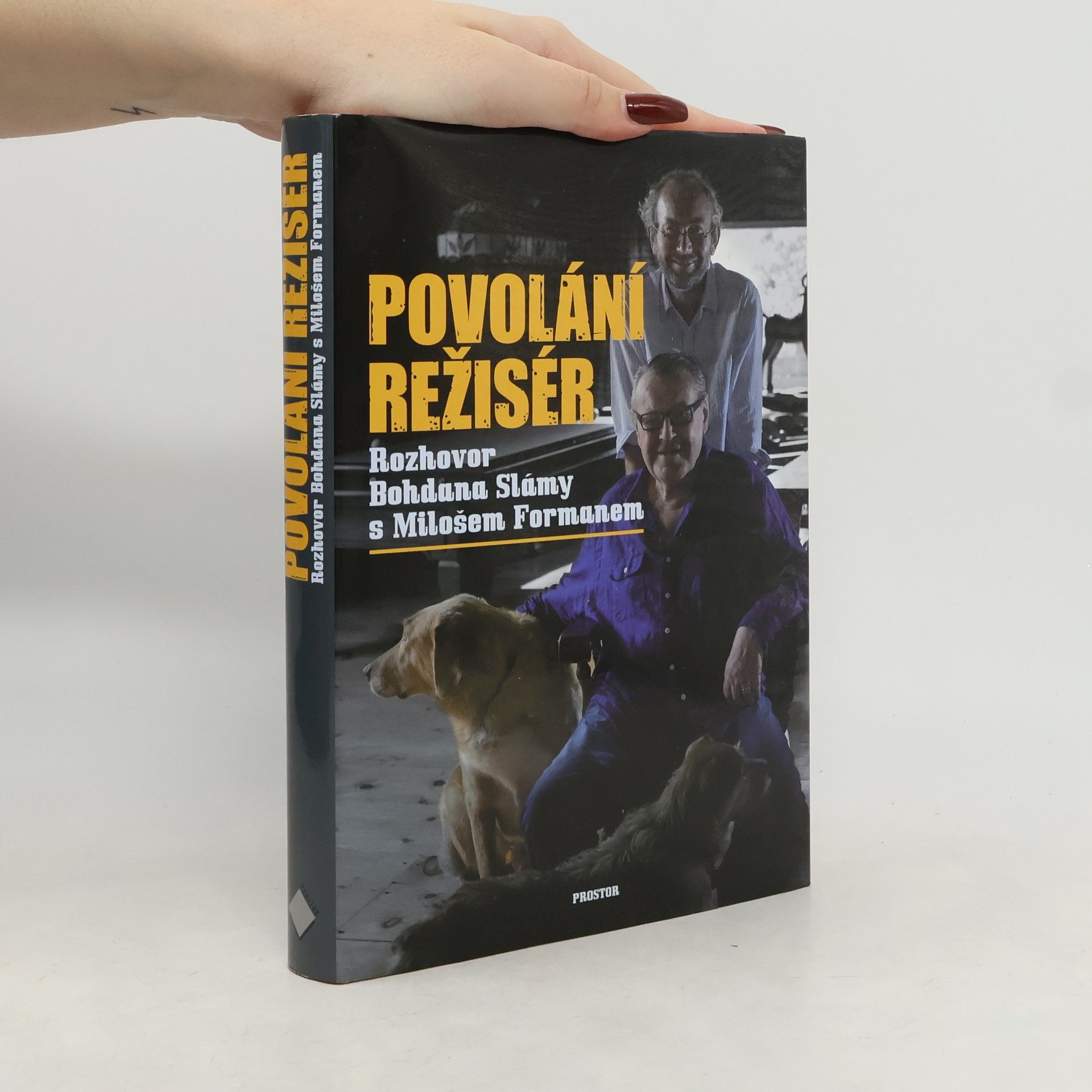 Povolání režisér