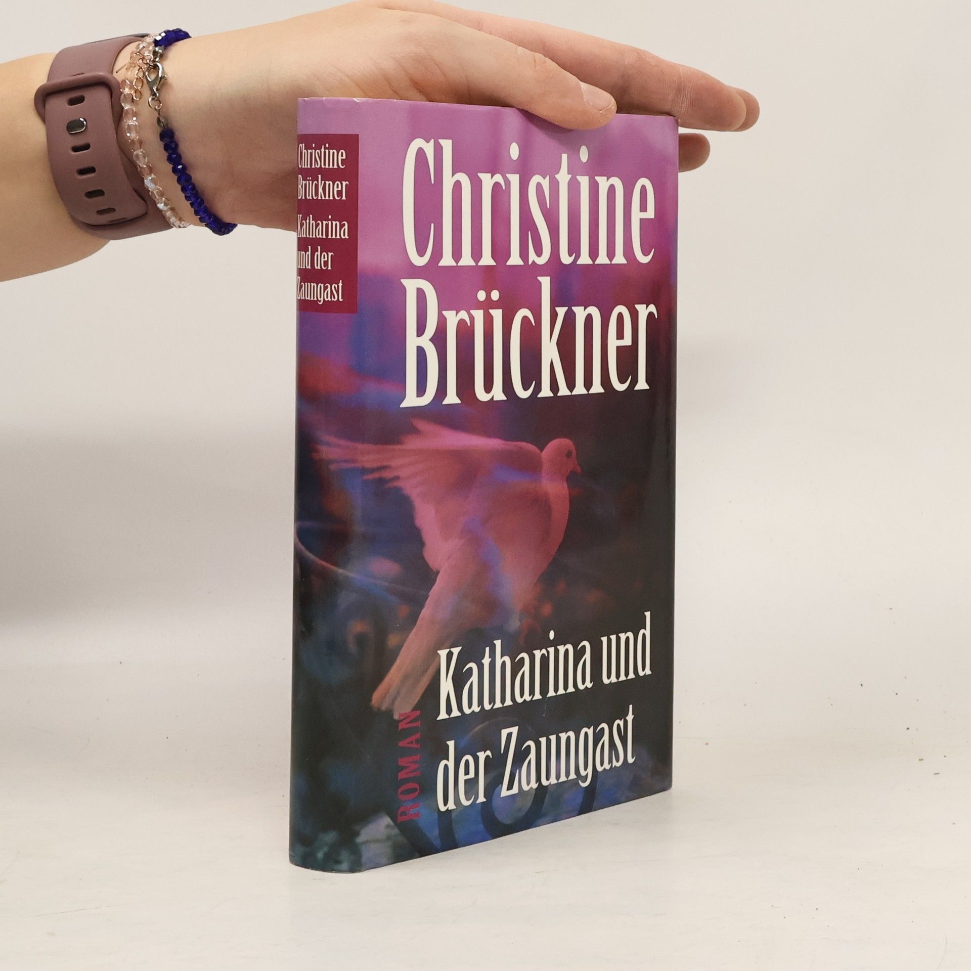 Katharina und der Zaungast