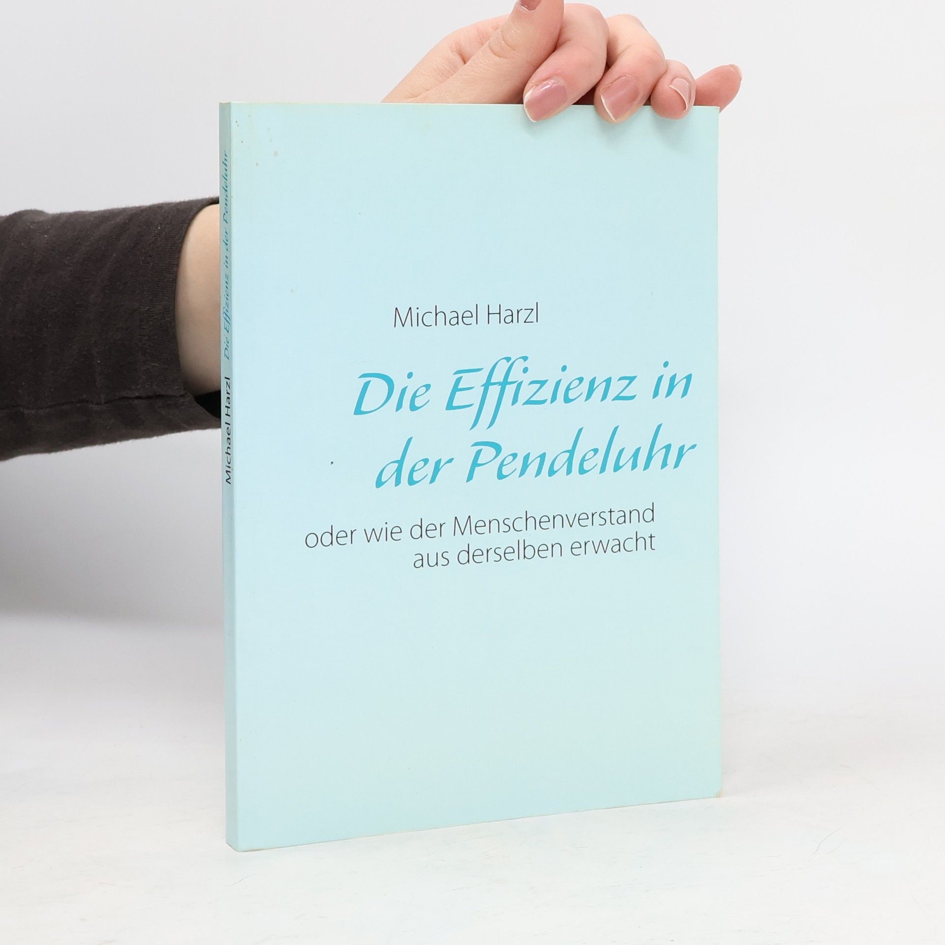 Michael Harzl Die Effizienz in der Pendeluhr