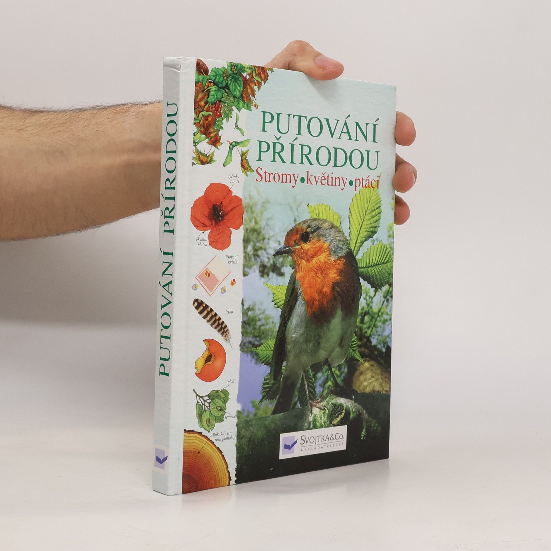 Kolektív autorov Putování přírodou: Stromy, květiny, ptáci