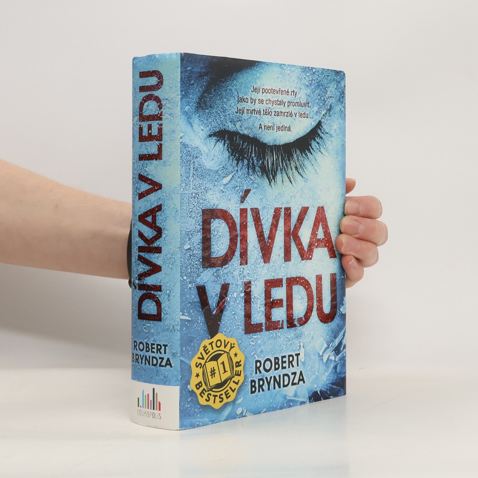 Robert Bryndza Dívka v ledu