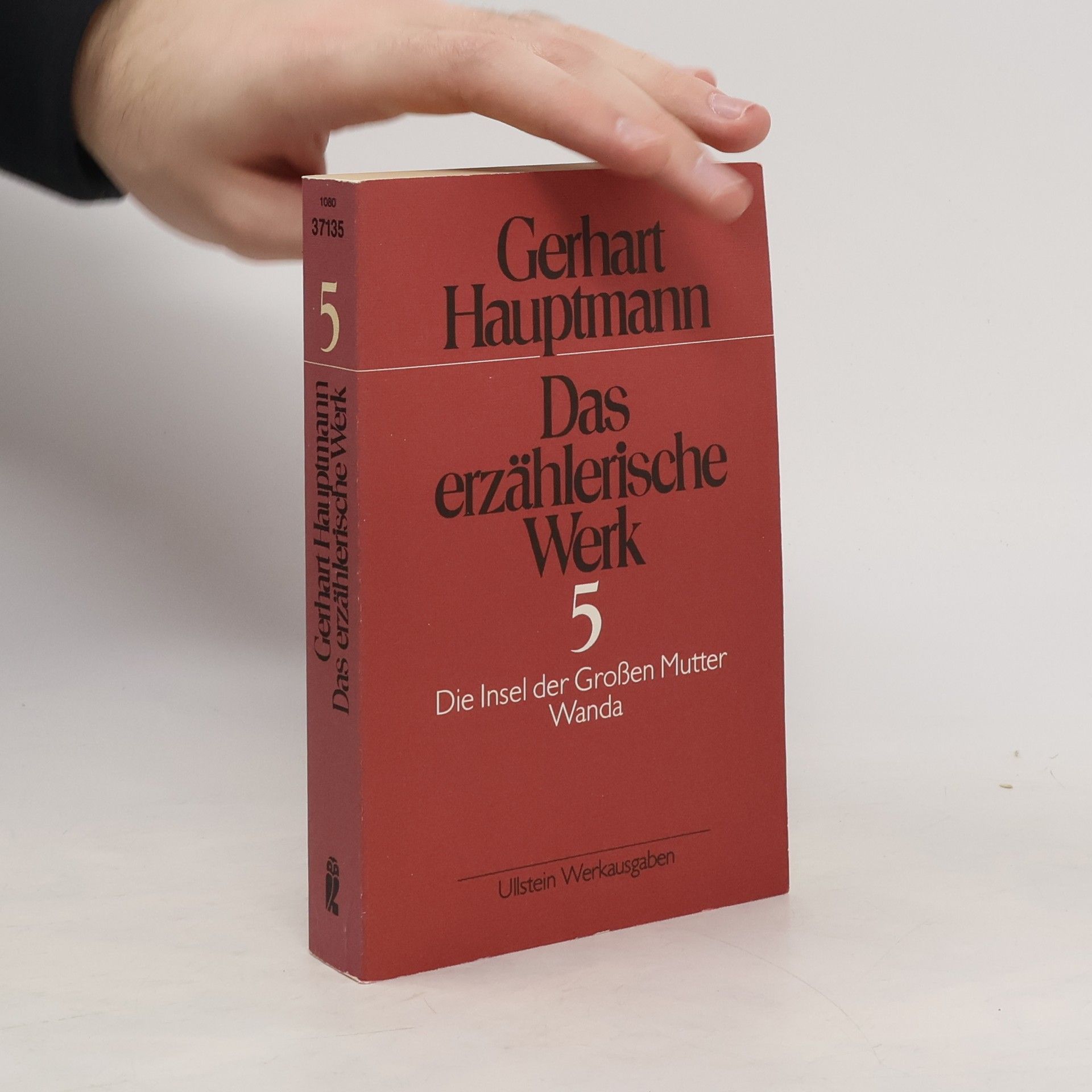 Das erzählerische Werk 5: Die Insel der Grossen Mutter ; Wanda