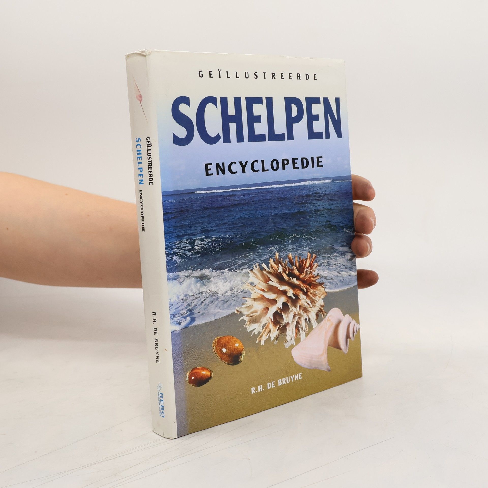Rykel H. de Bruyne Geïllustreerde schelpen encyclopedie