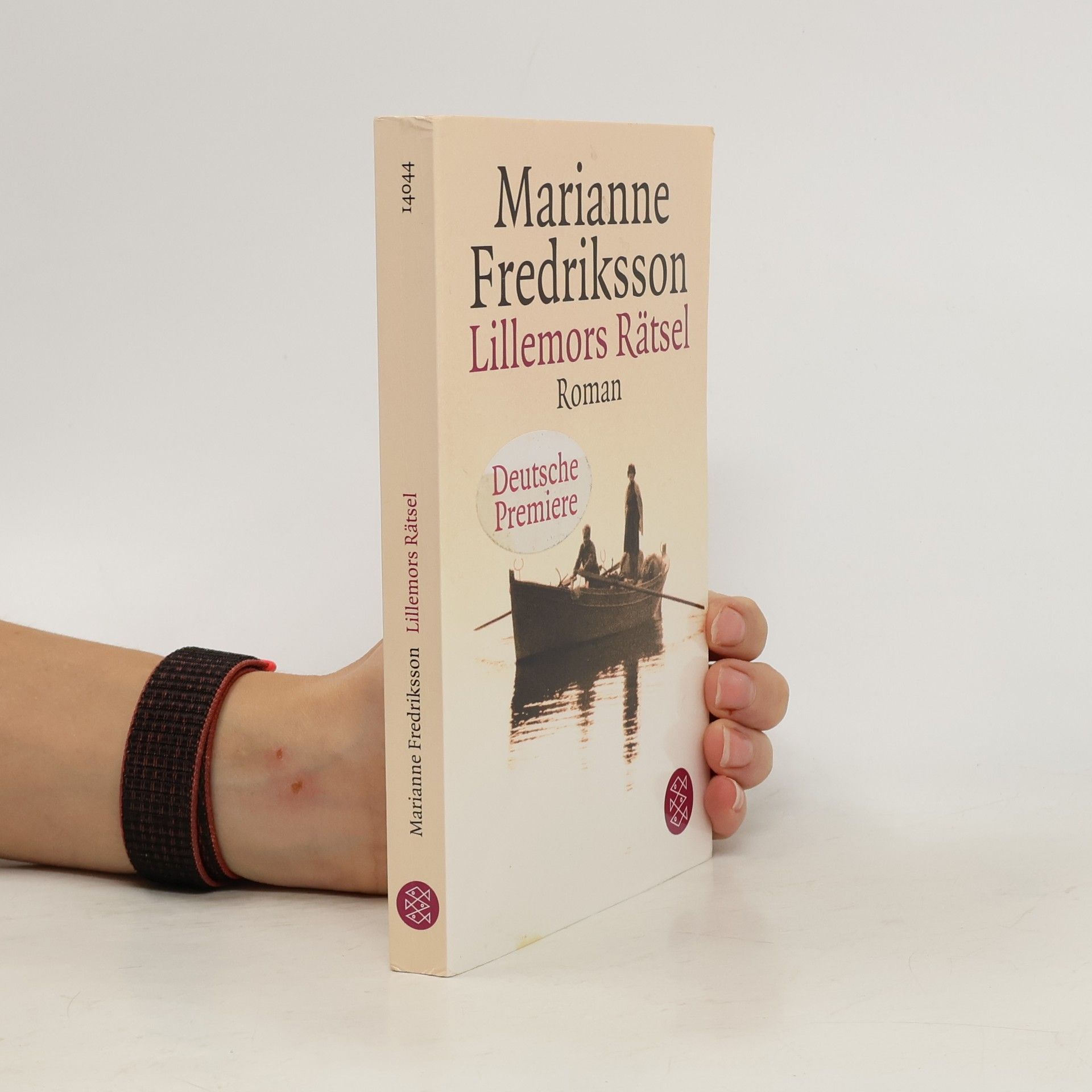 Marianne Fredriksson Lillemors Rätsel