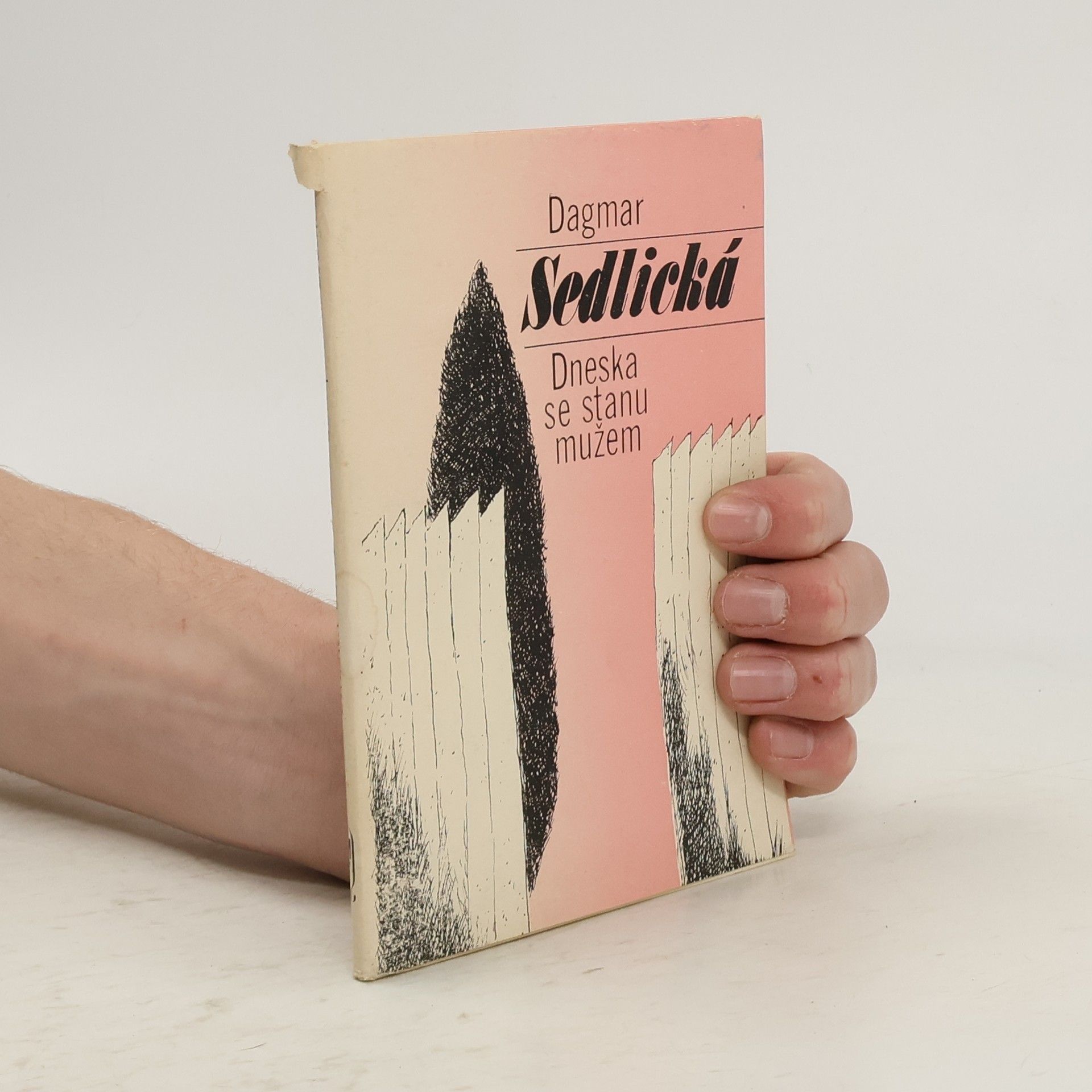 Dneska se stanu mužem