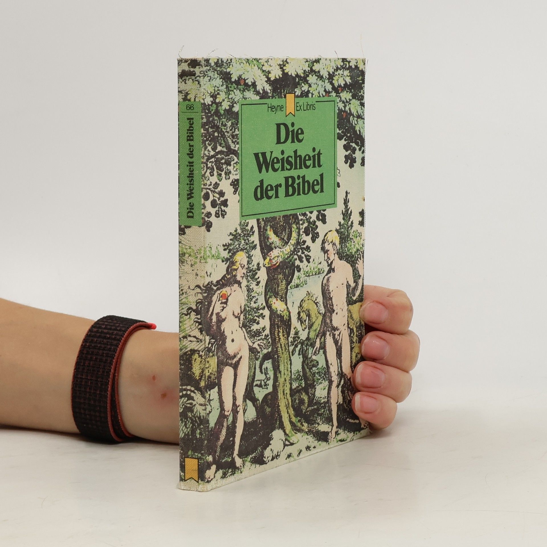 Manfred Kluge Die Weisheit der Bibel