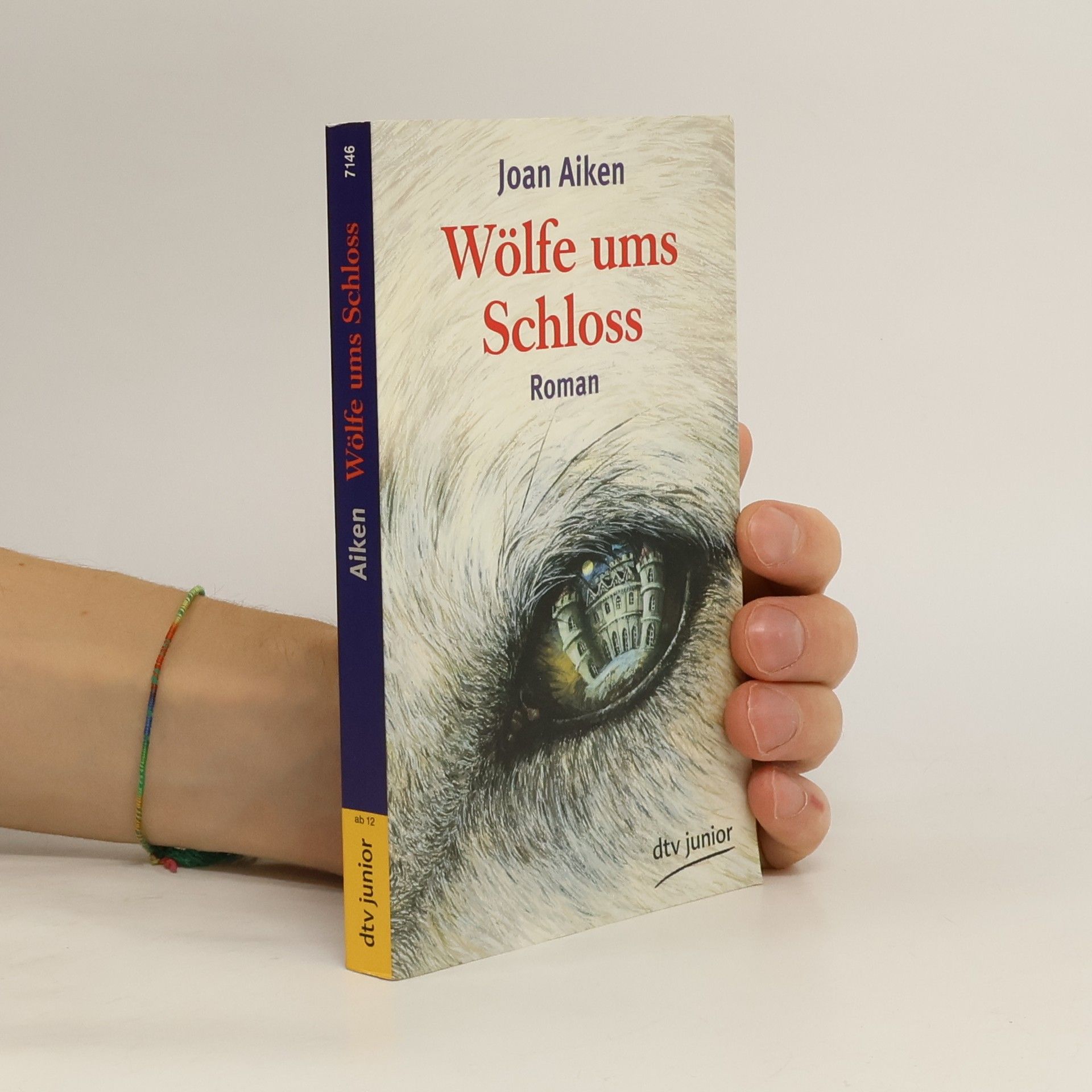 Joan Aiken Wölfe ums Schloss