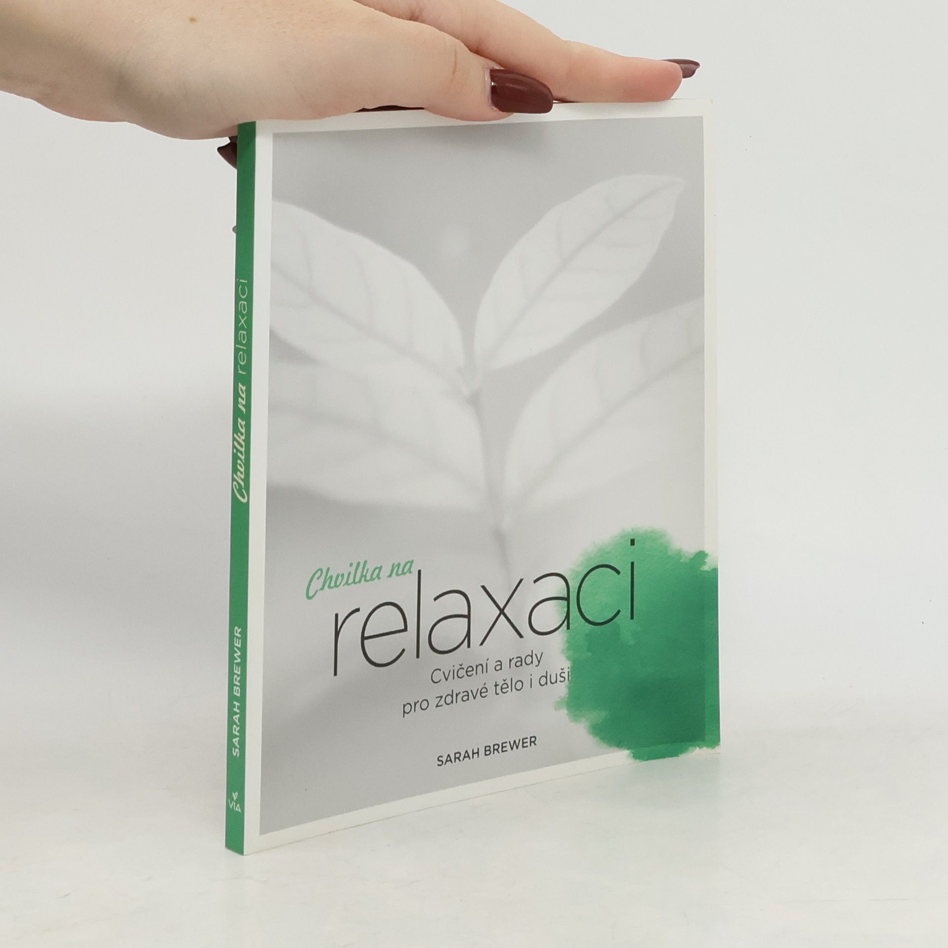 Sarah Brewer Chvilka na relaxaci: Cvičení a rady pro zdravé tělo i duši