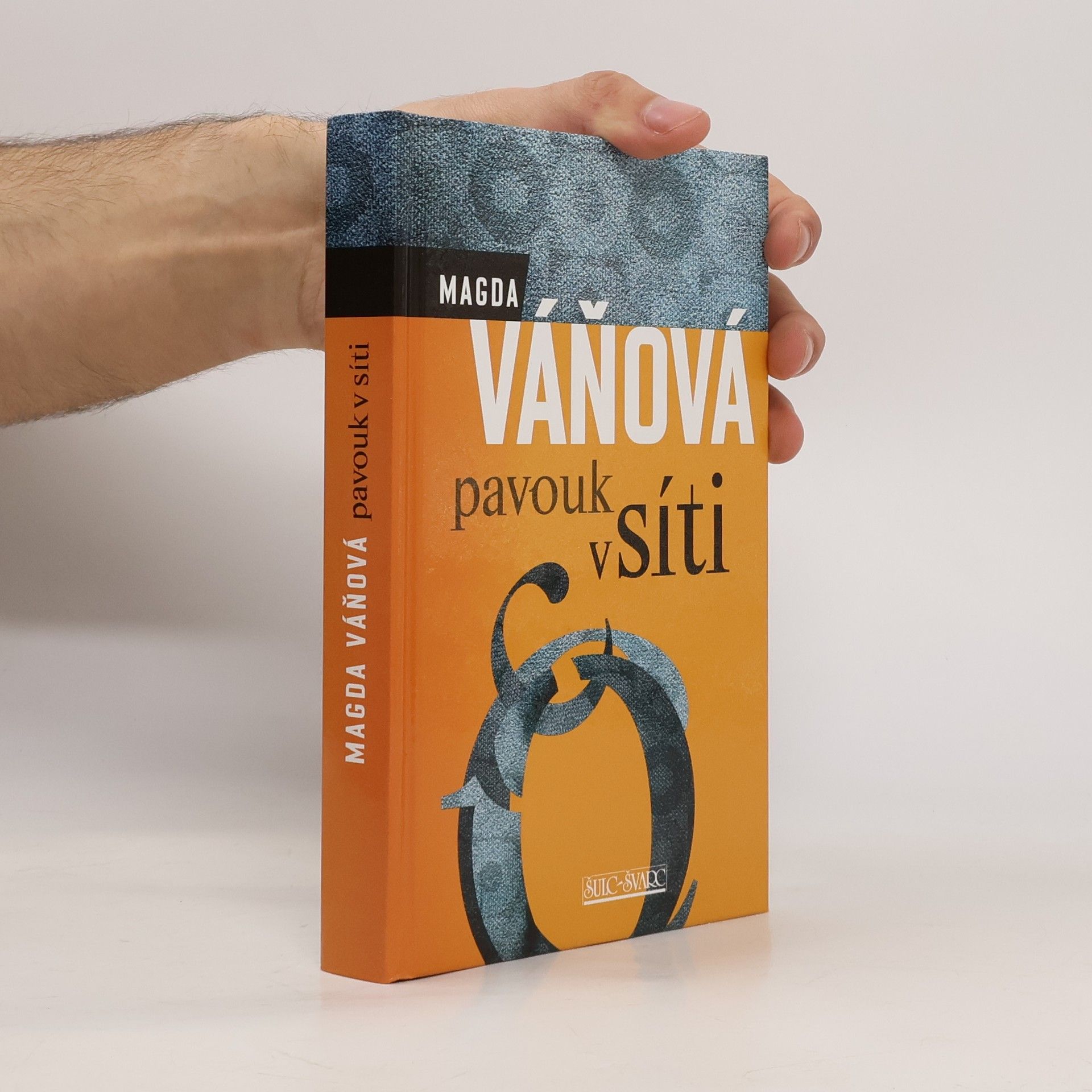 Magda Váňová Pavouk v síti