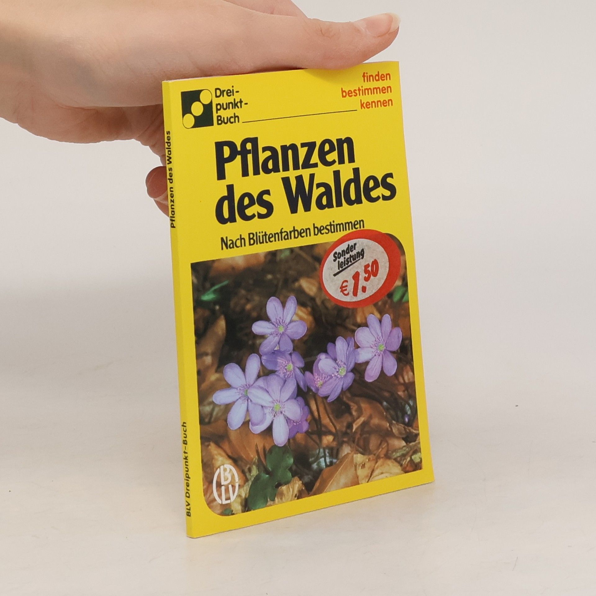 Collectif d'auteurs Pflanzen des Waldes