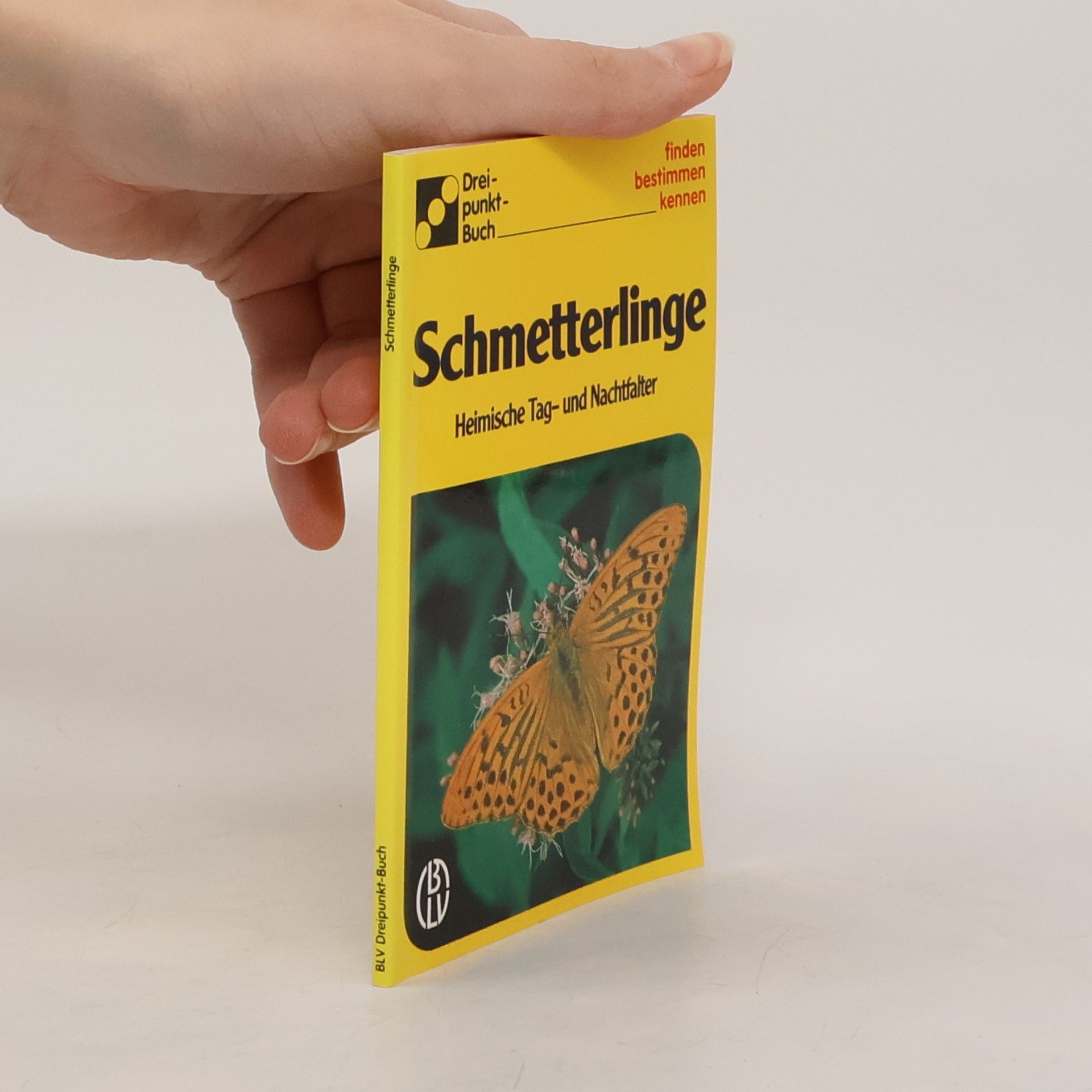 Schmetterlinge. Heimische Tag- und Nachtfalter