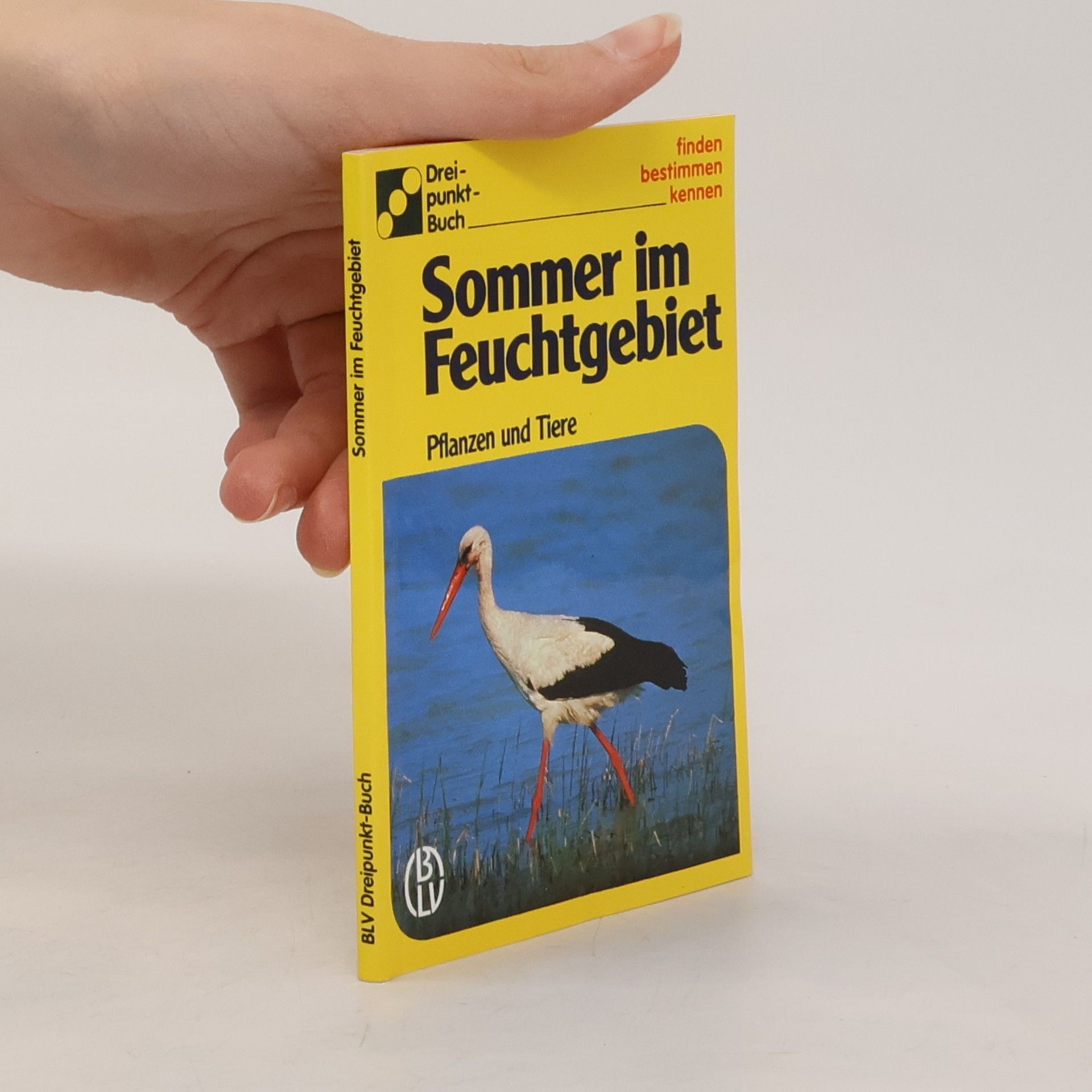 Kolektiv autorů Sommer im Feuchtgebiet