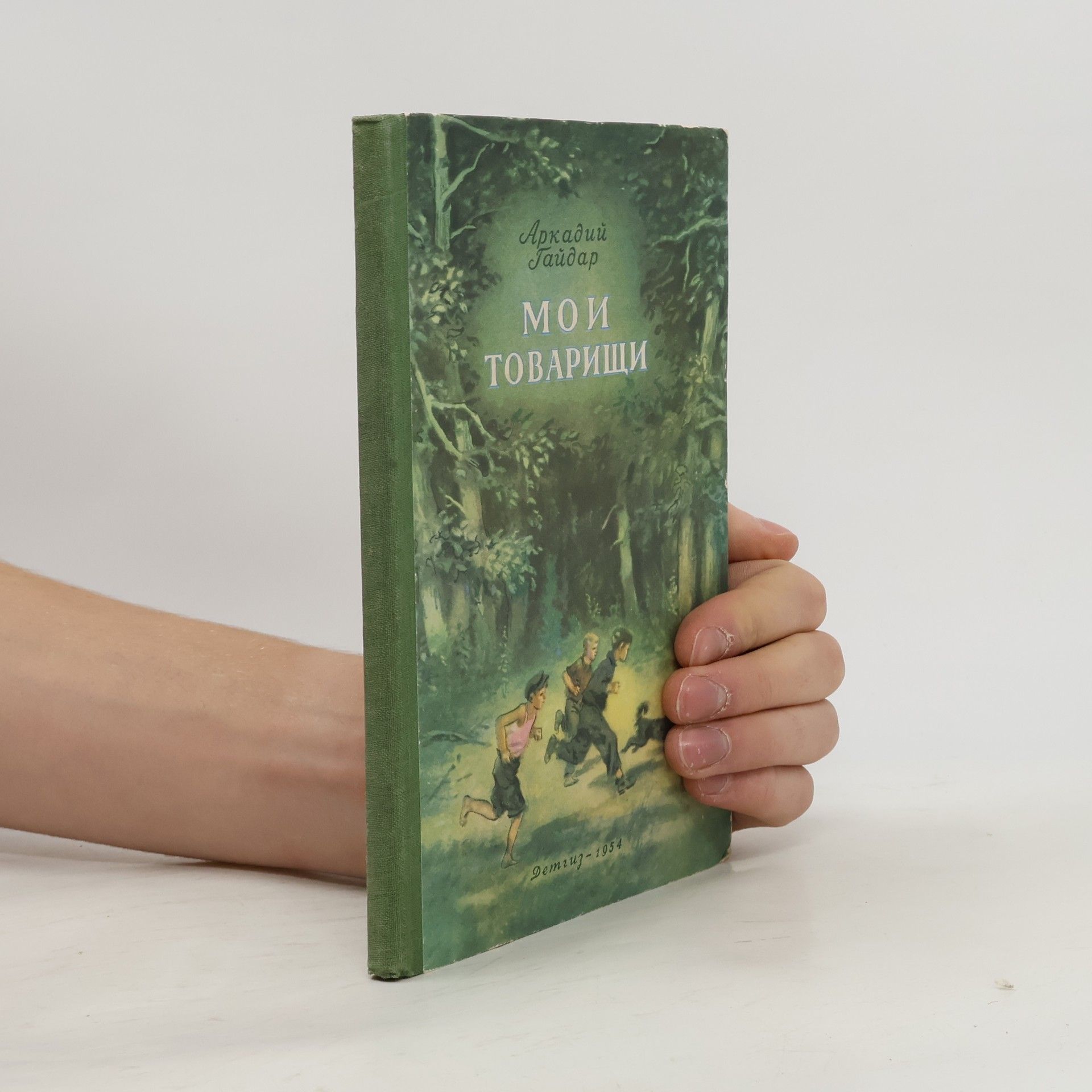 Мои товарищи