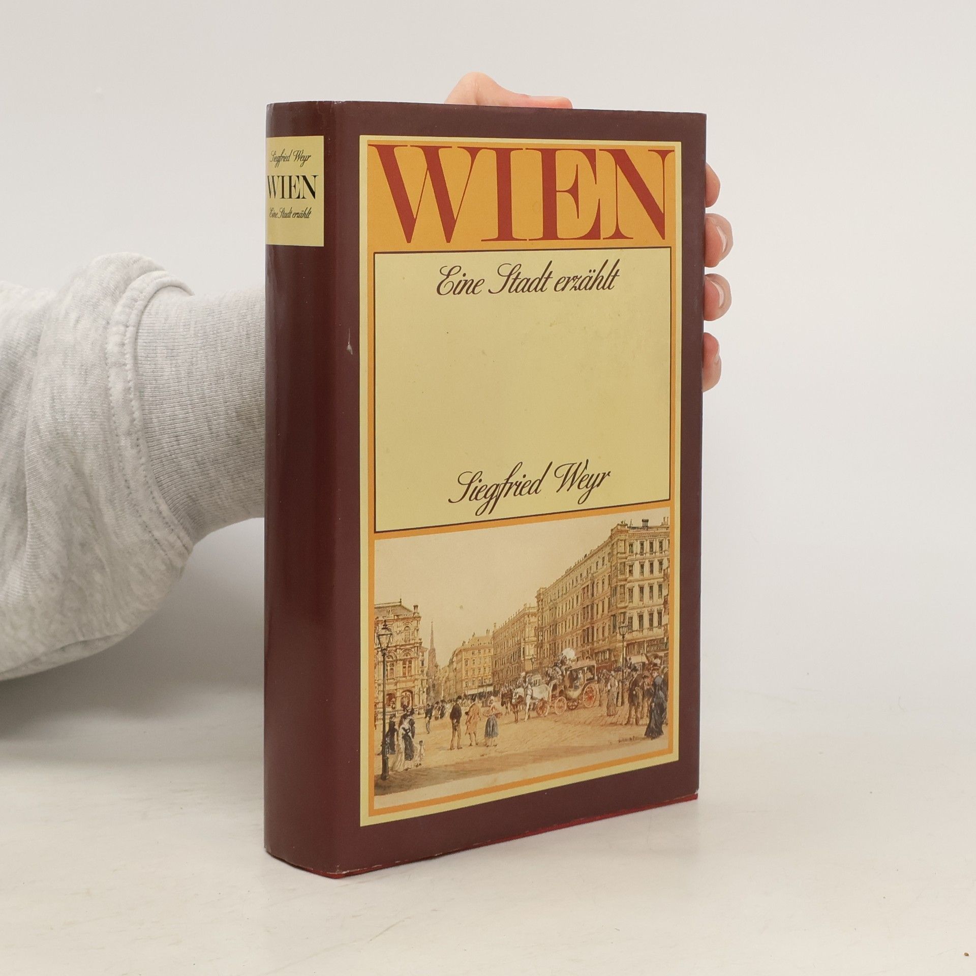 Wien Eine Stant erzählt