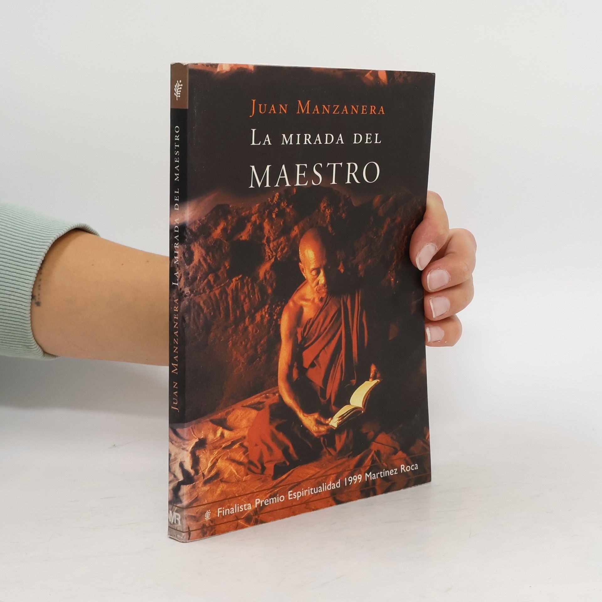 Juan Manzanera La mirada del maestro