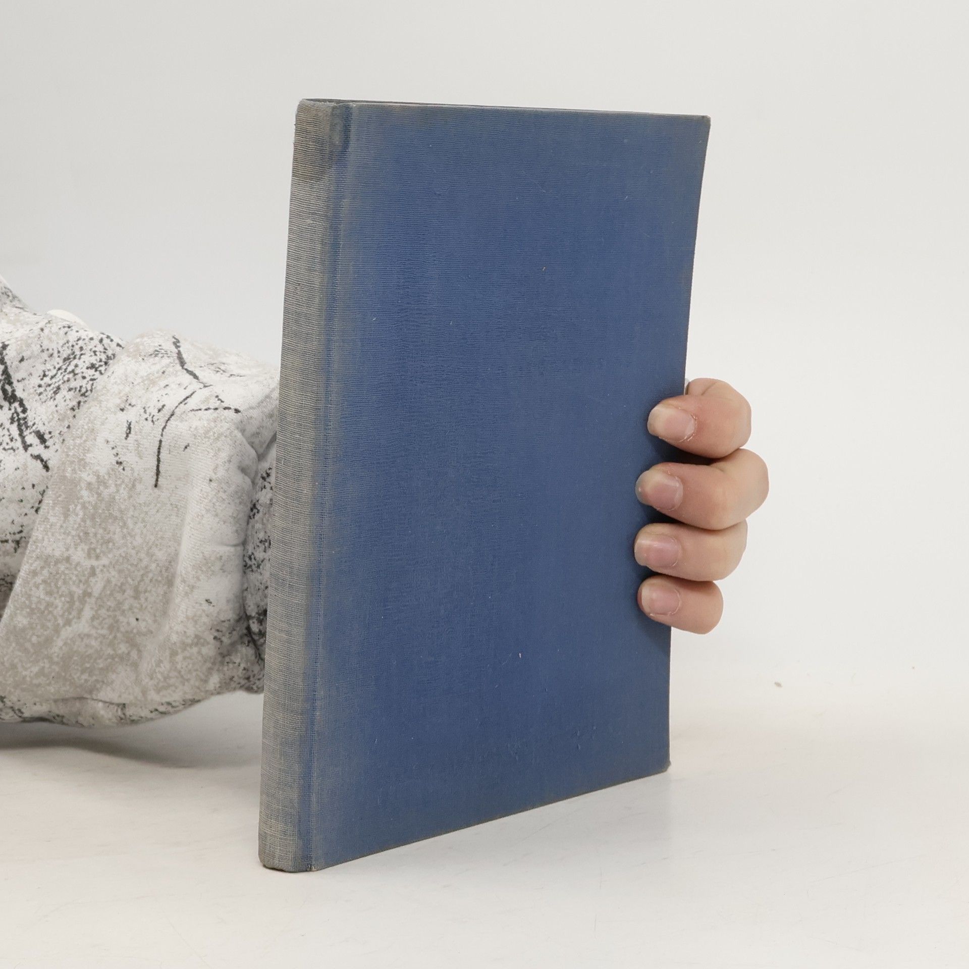 Leo Jenko Das Entfernen von Flecken aus Geweben