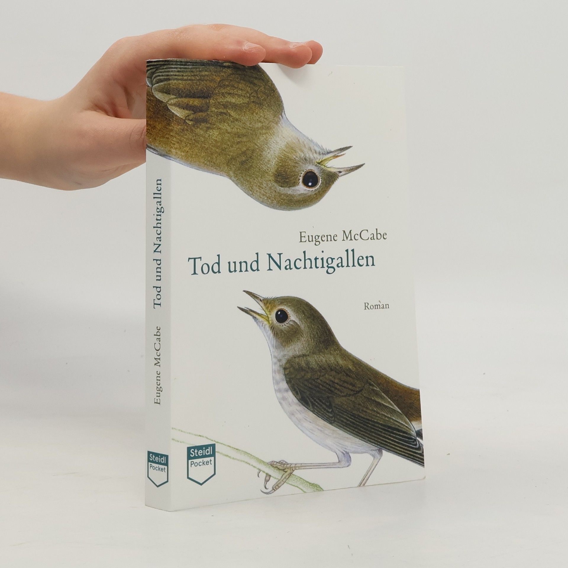 Eugene McCabe Tod und Nachtigallen (Steidl Pocket)