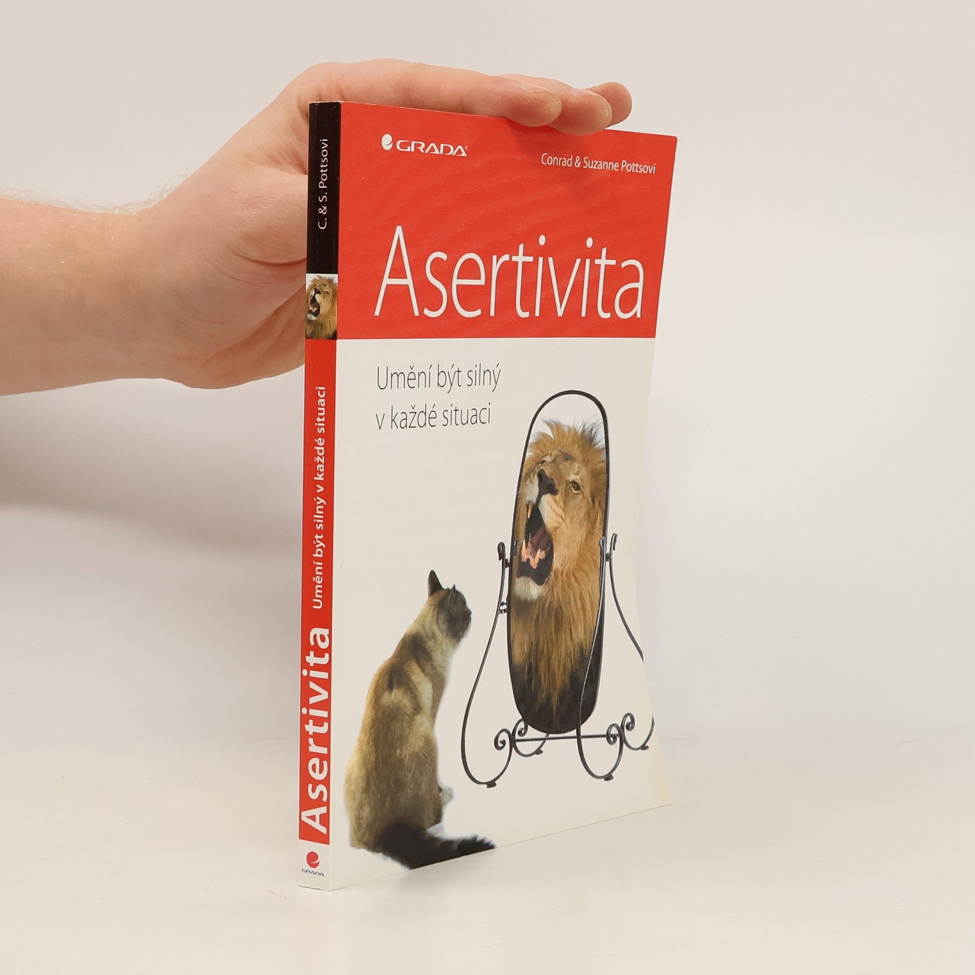 Asertivita: Umění být silný v každé situaci