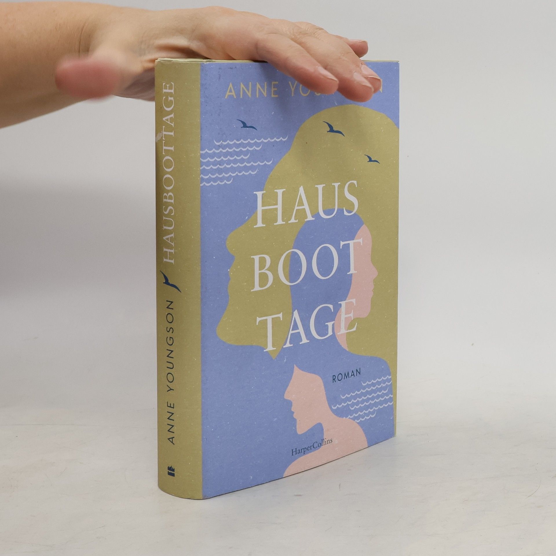 Anne Youngson Hausboottage