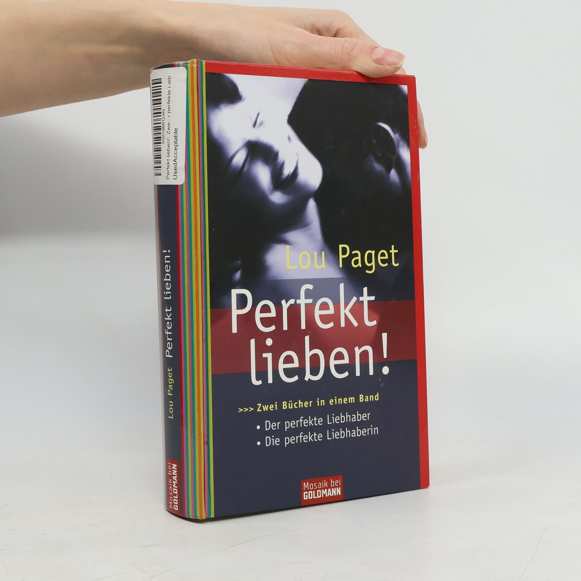 Lou Paget Perfekt lieben