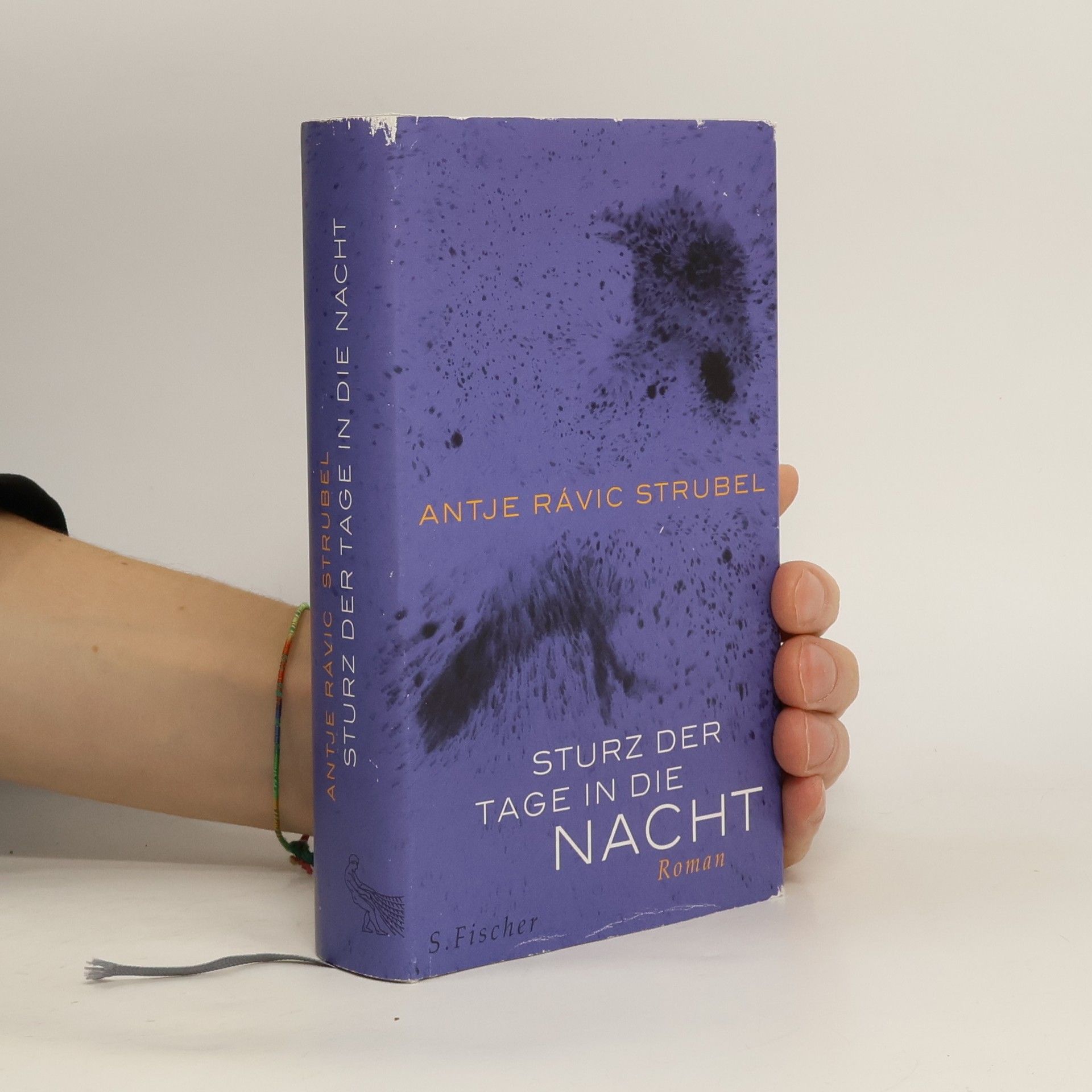 Antje Rávic Strubel Sturz der Tage in die Nacht