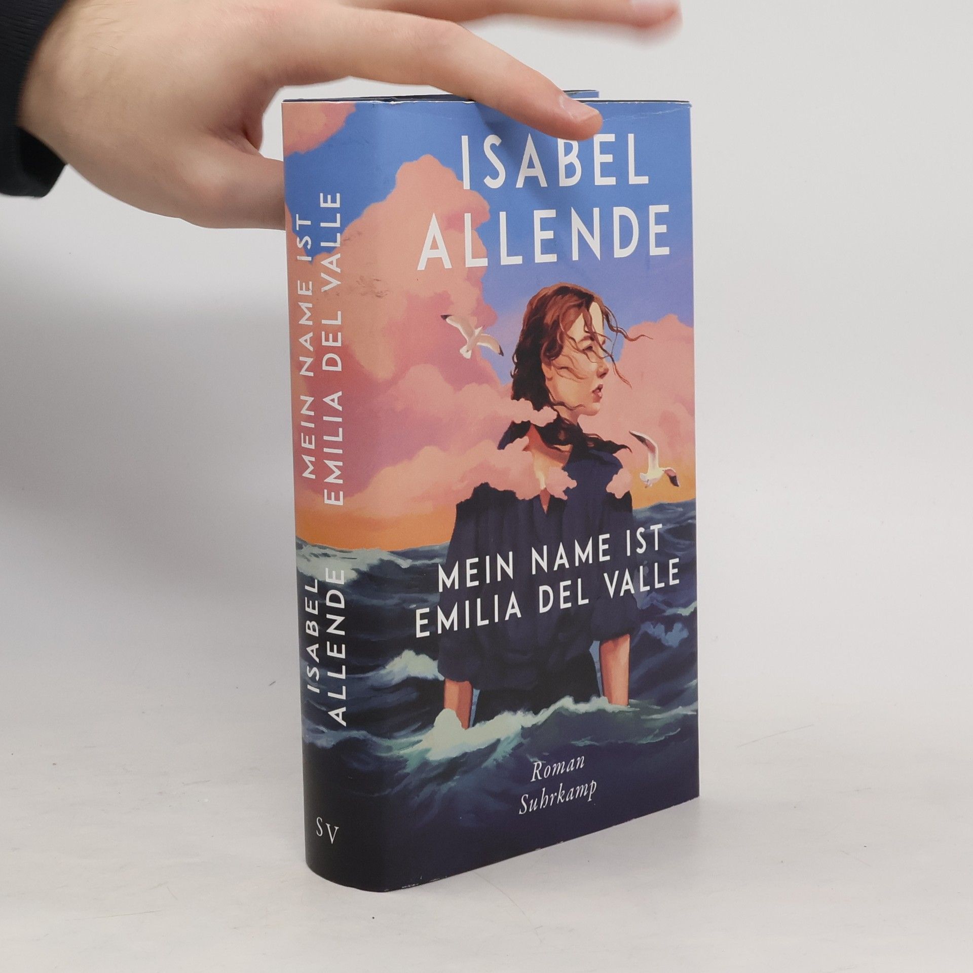Isabel Allende Mein Name ist Emilia del Valle