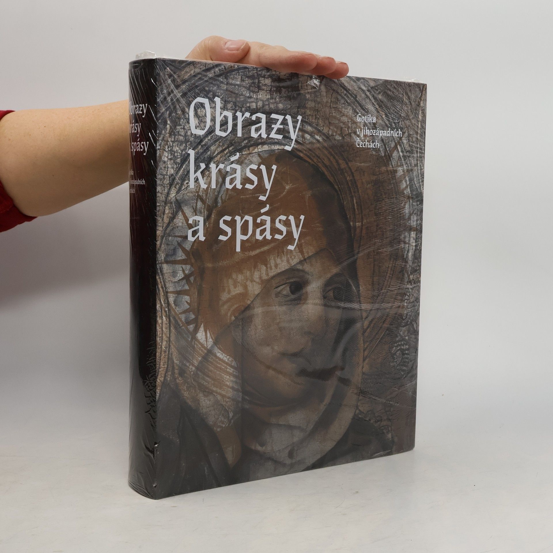 Michaela Ottová Obrazy krásy a spásy. Gotika v jihozápadních Čechách