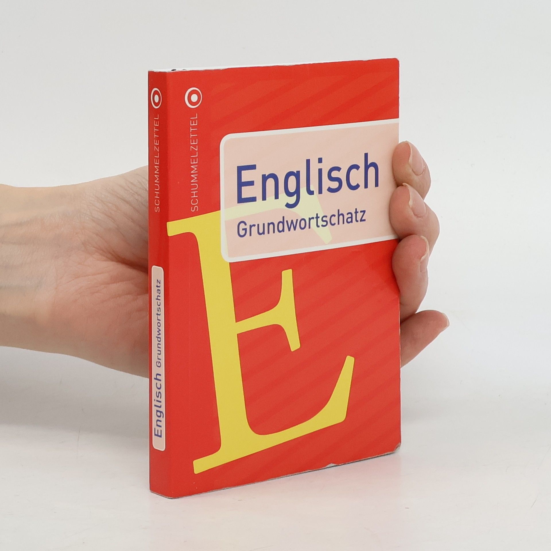 Kolektiv autorů Englisch Grundwortschatz