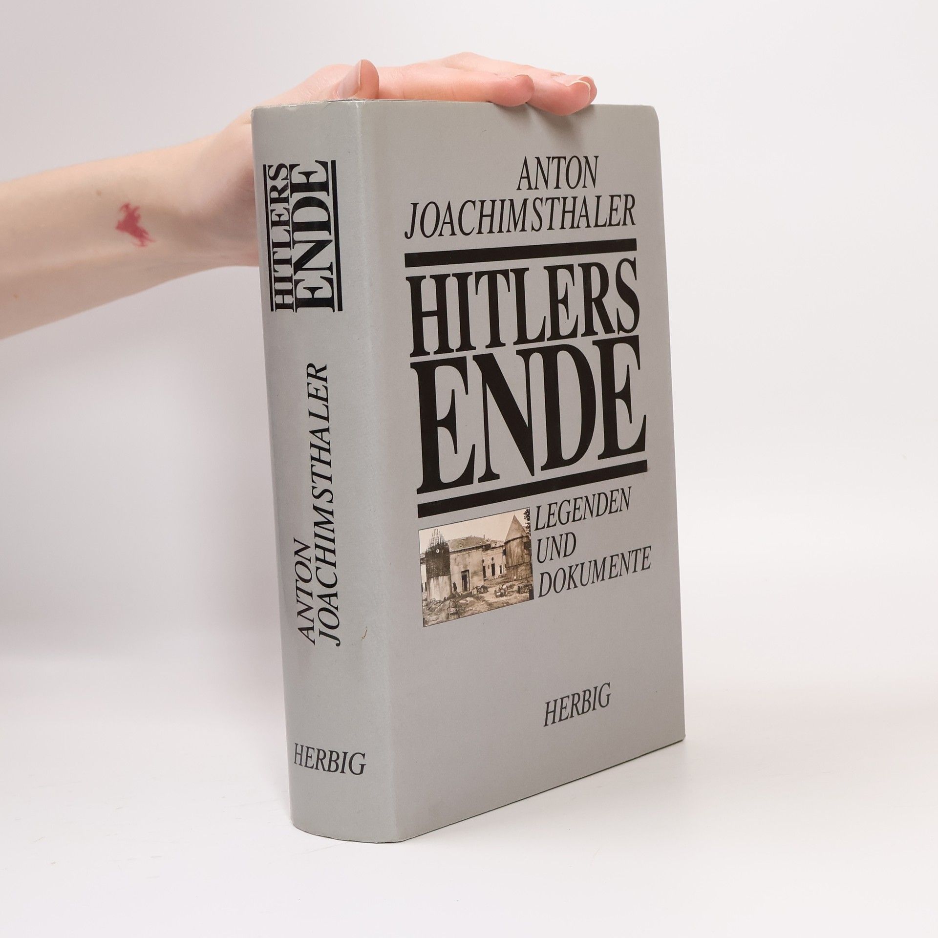 Hitlers Ende