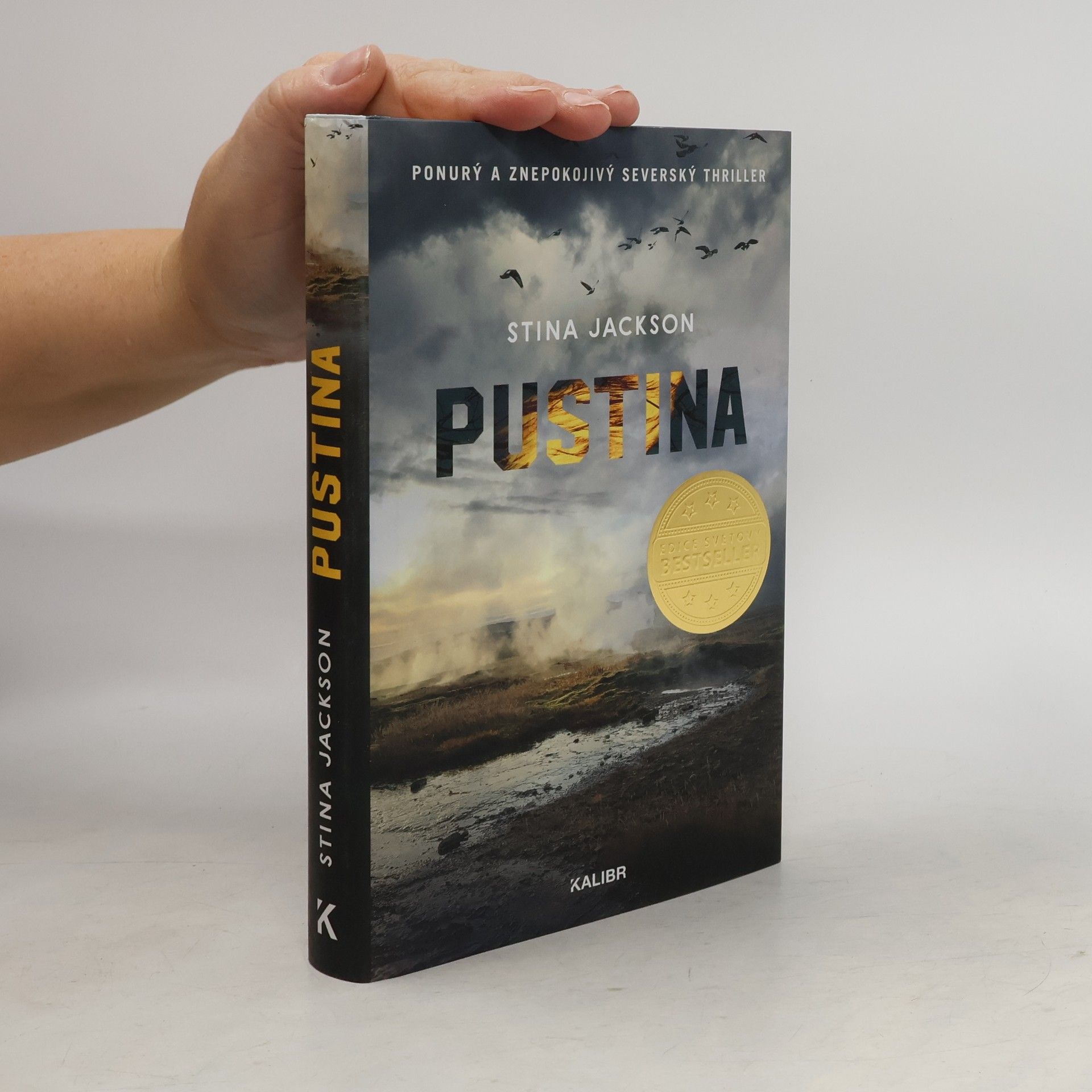 Stina Jackson Pustina