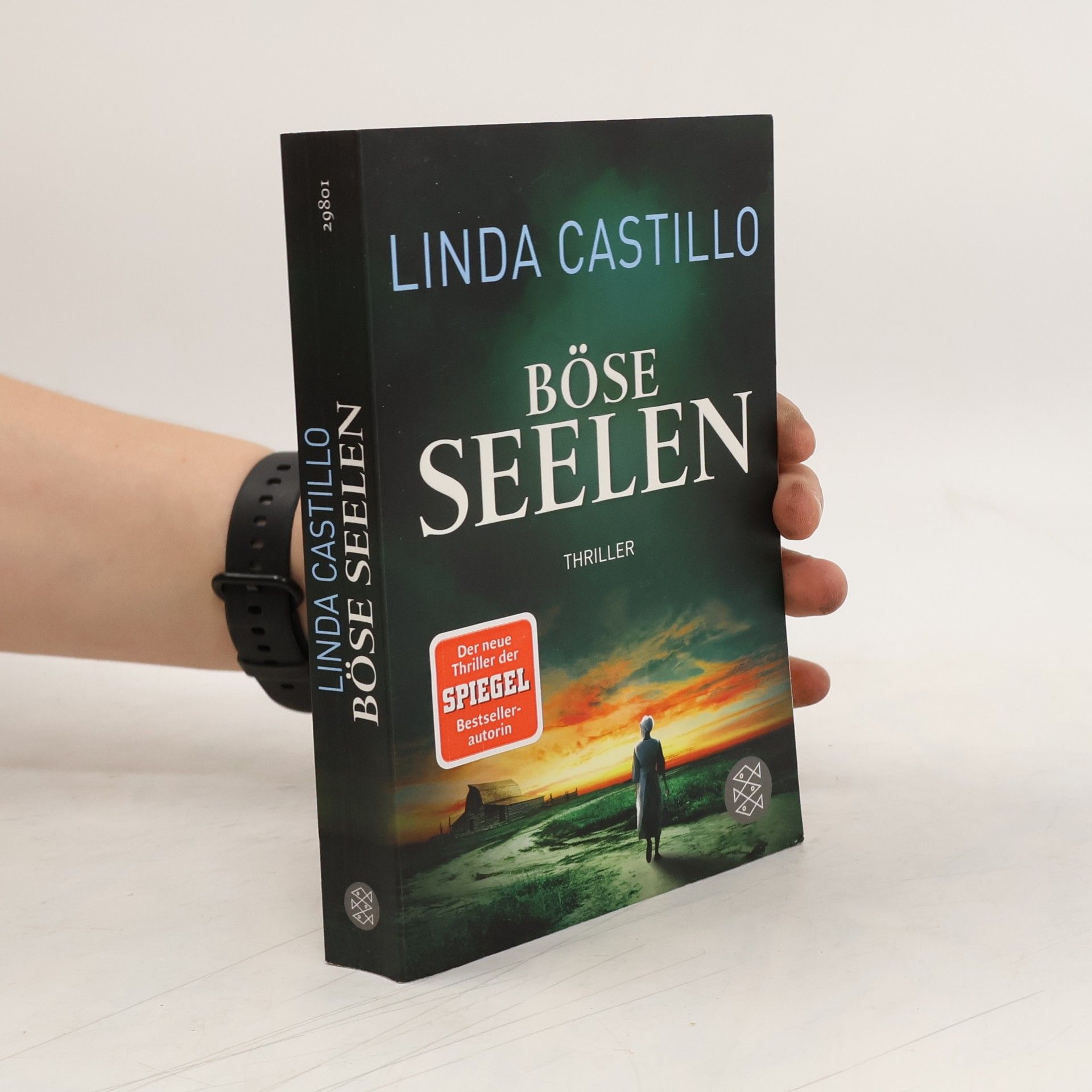 Linda Castillo Böse Seelen