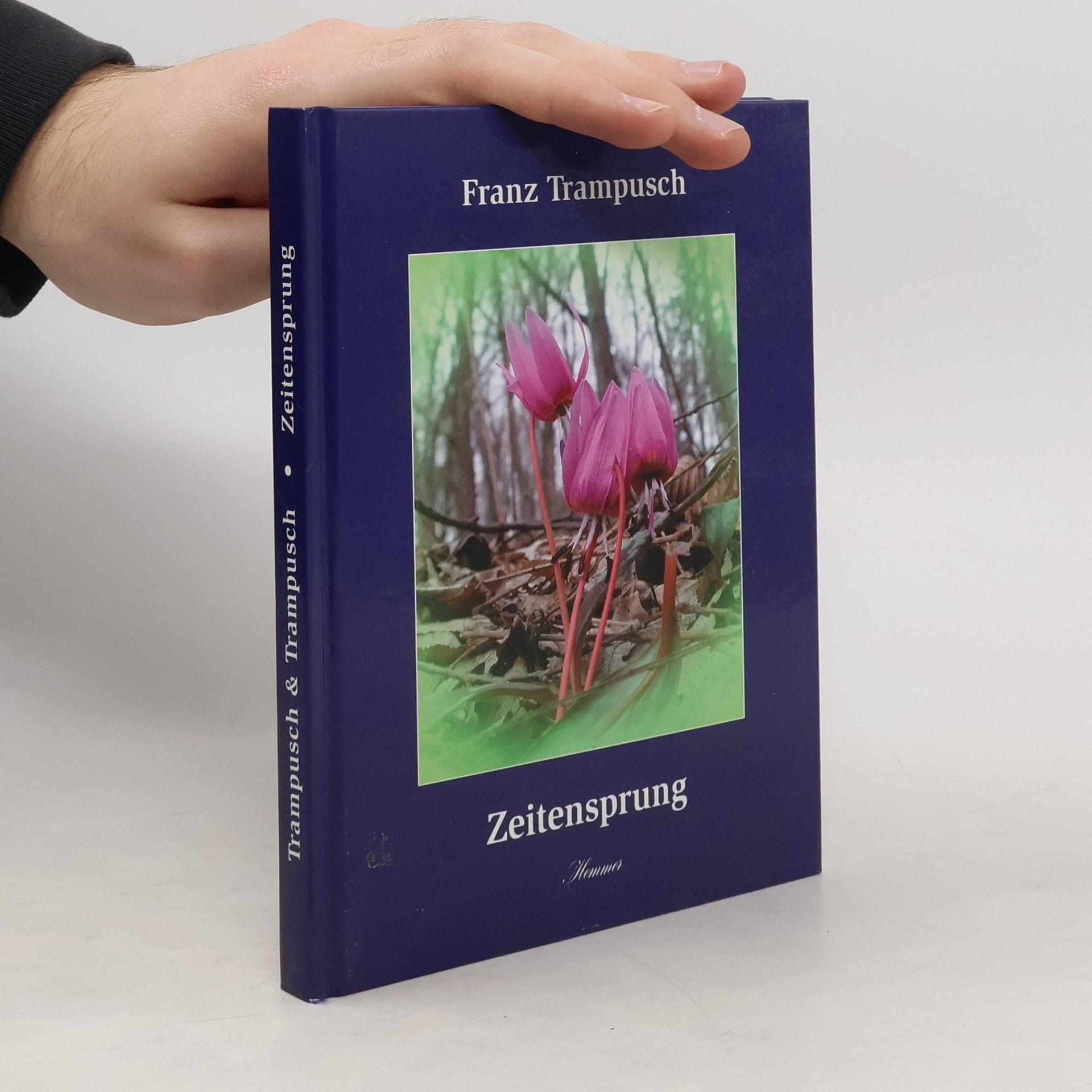 Franz Trampusch Zeitensprung