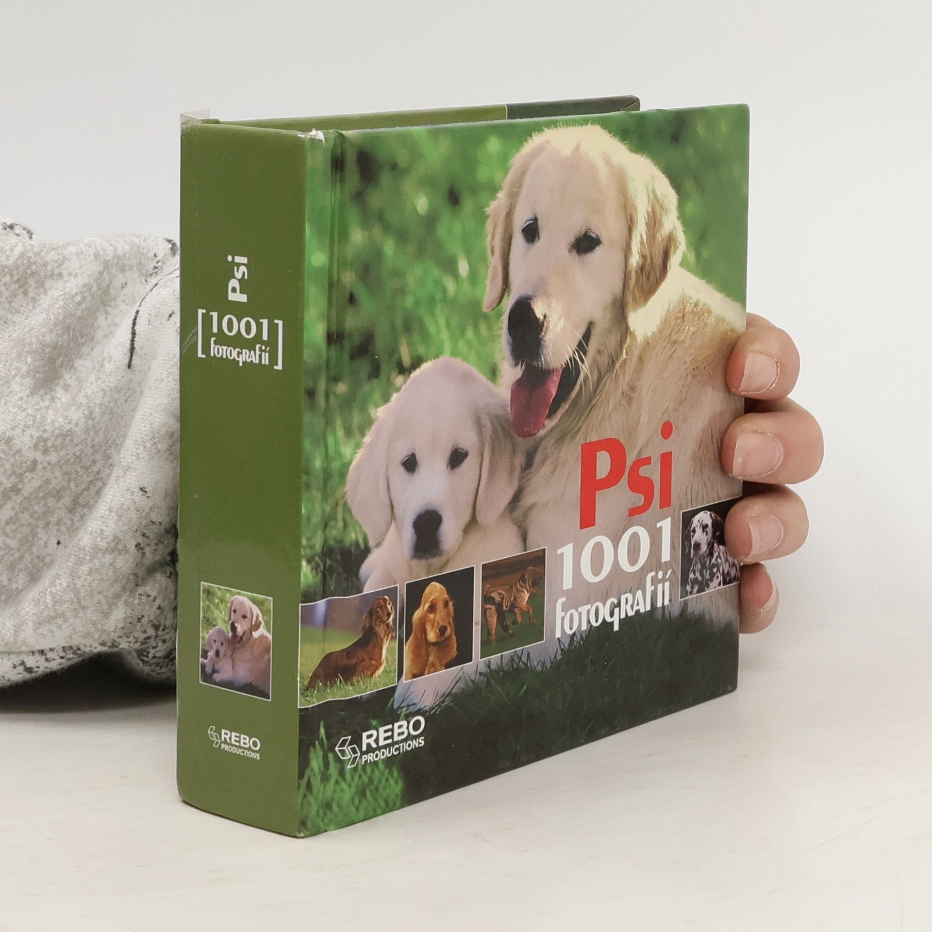 Hana Zástěrová Psi - 1001 fotografií