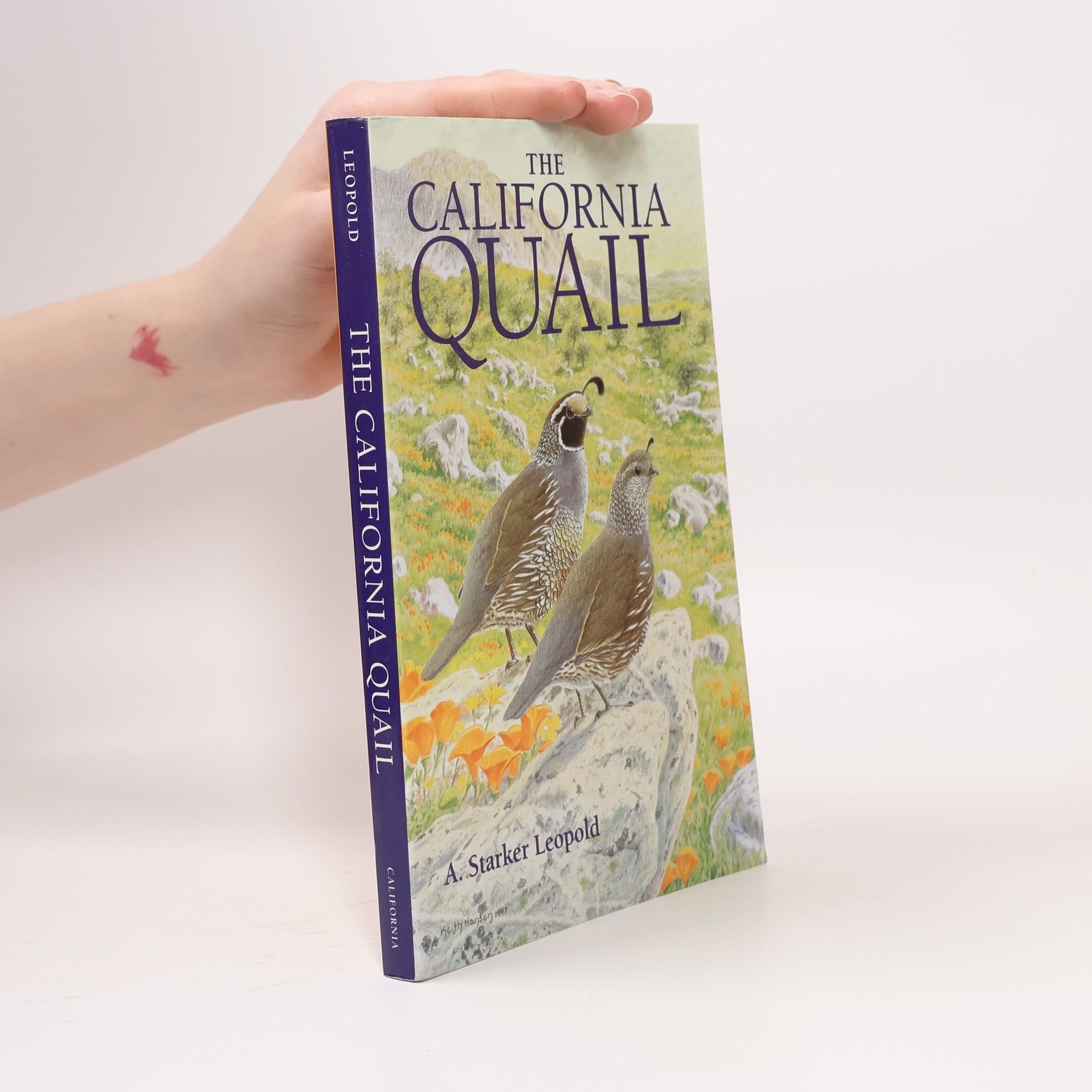 Aldo Starker Leopold The California Quail