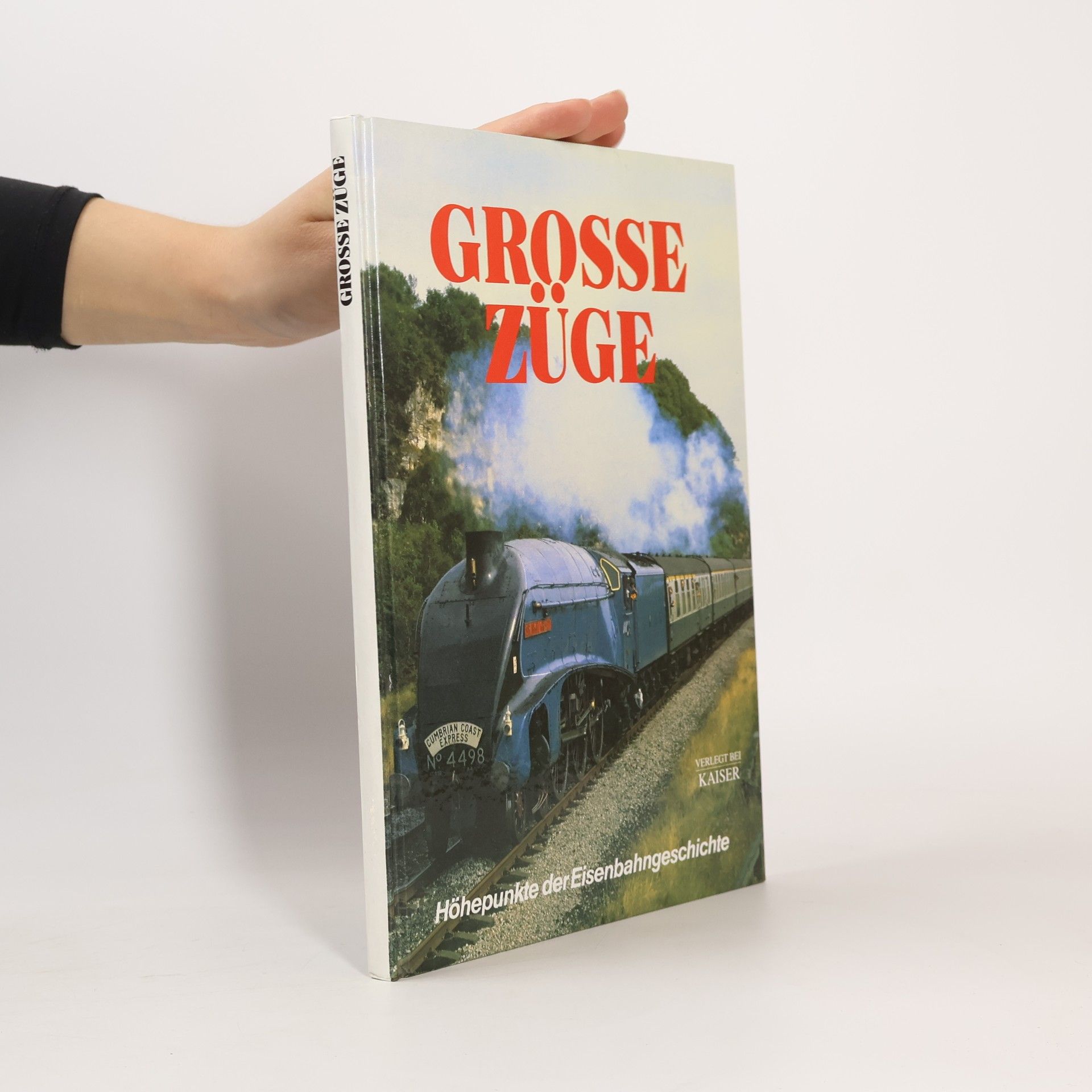 Rolf L. Temming Grosse Züge