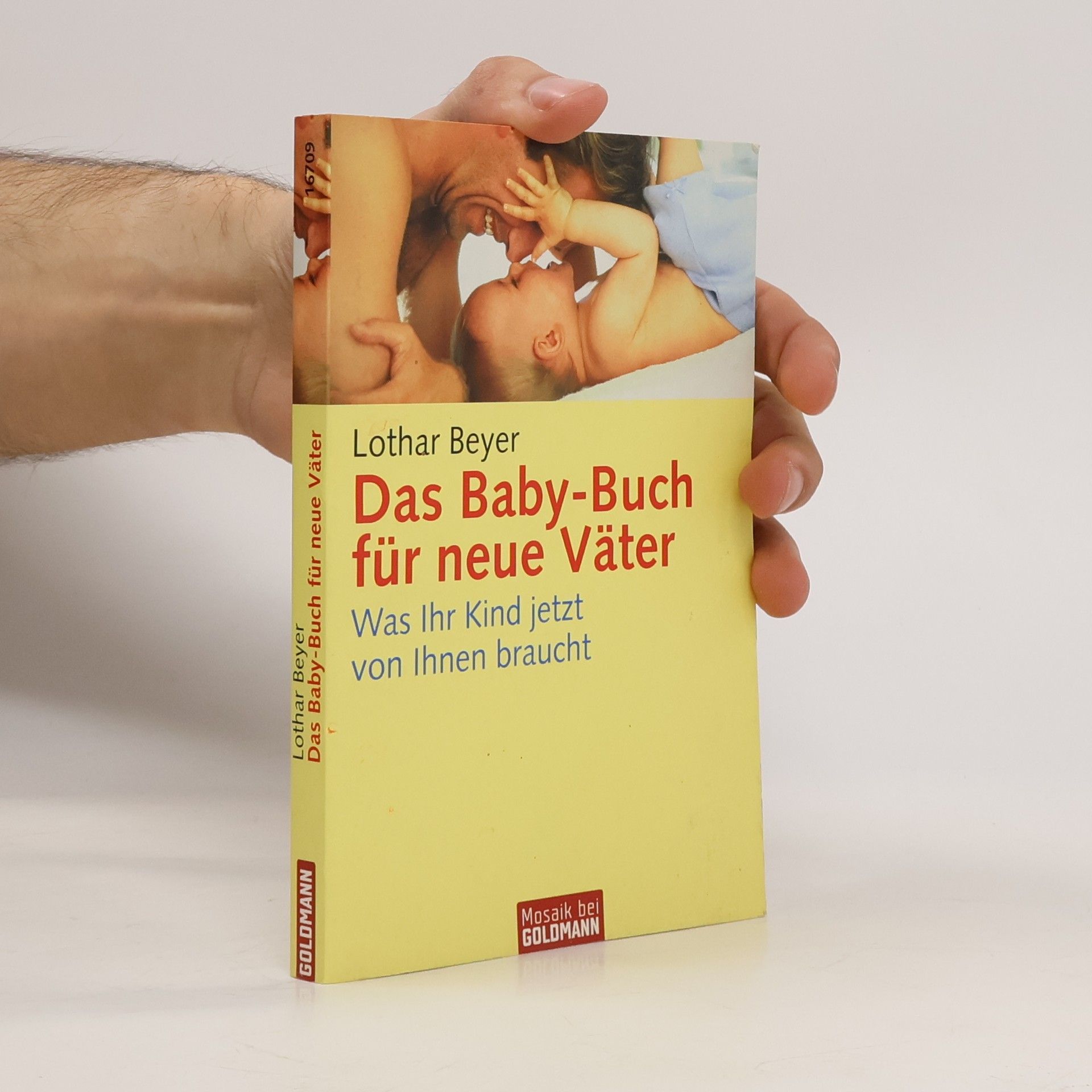 Lothar Beyer Das Baby-Buch für neue Väter